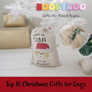 10 Christmas Gifts for Your Dog