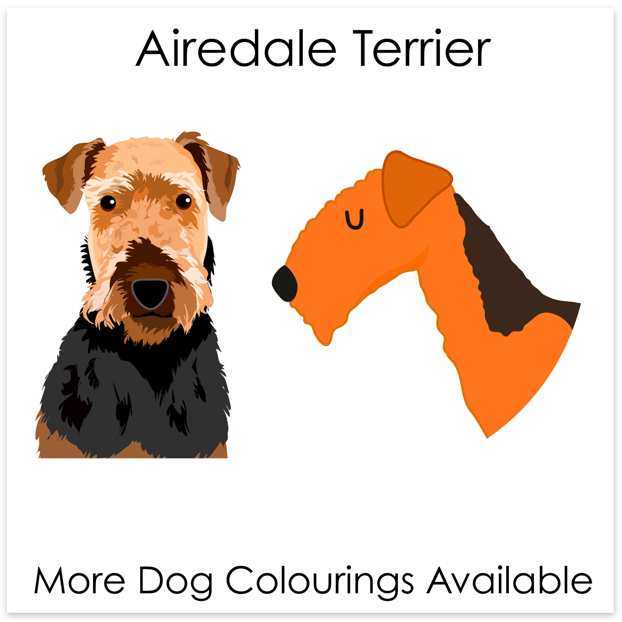 
    Airedale Terrier
  