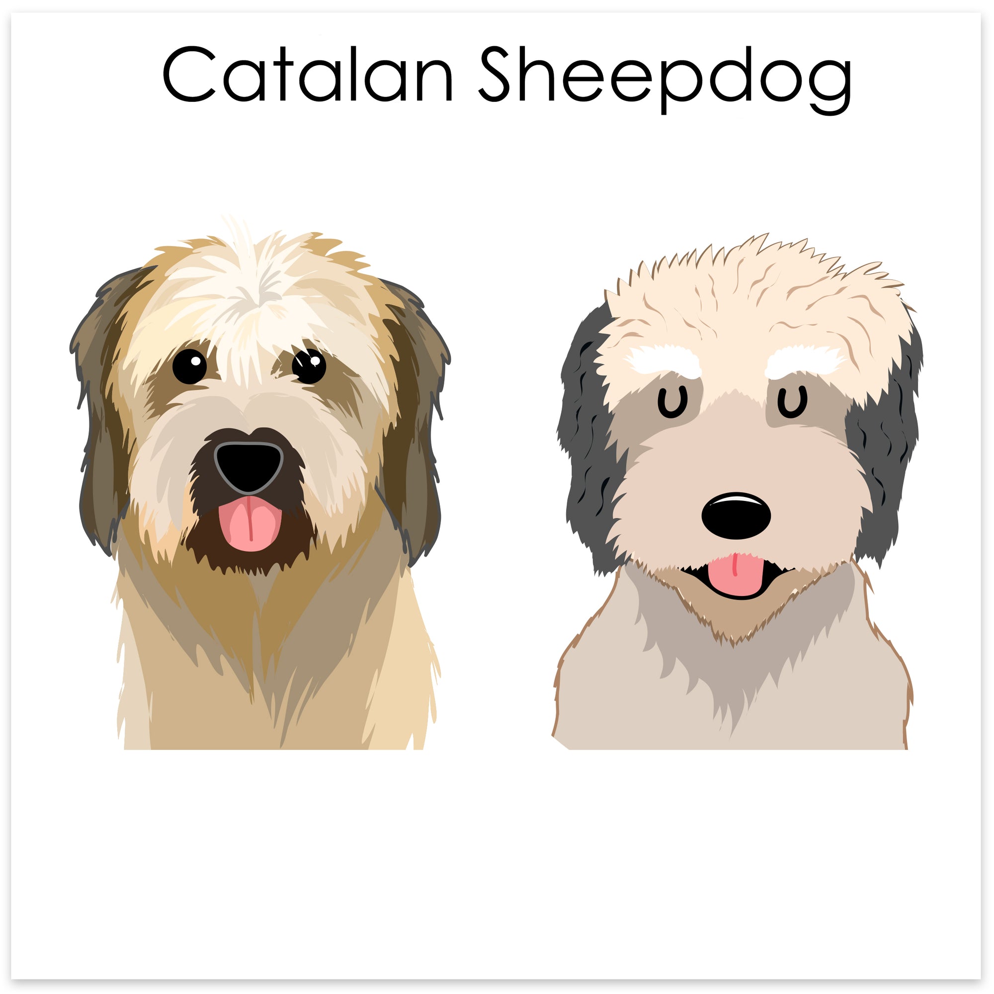 
    Catalan Sheepdog
  