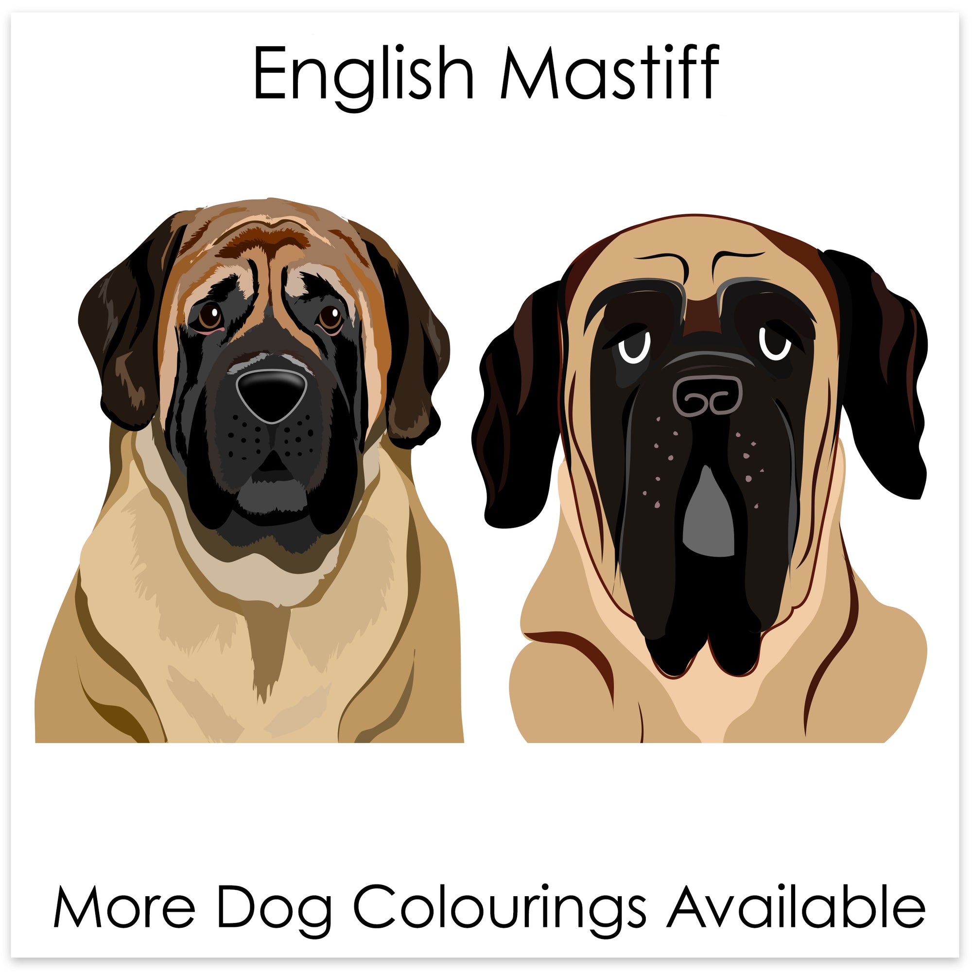 
    English Mastiff
  