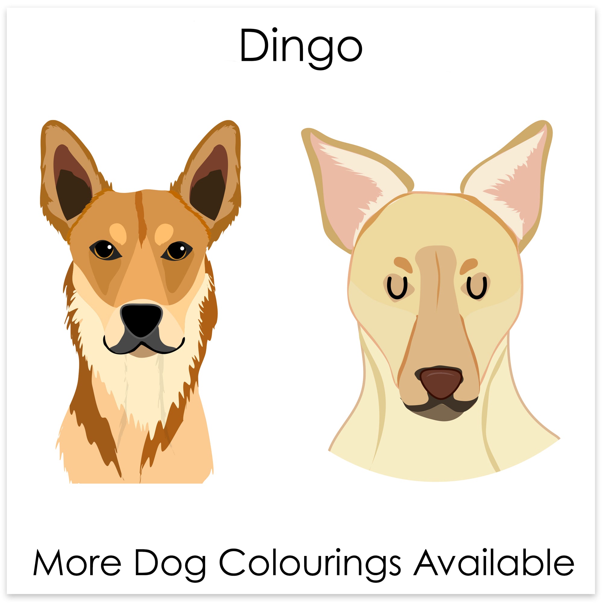 
    Dingo
  