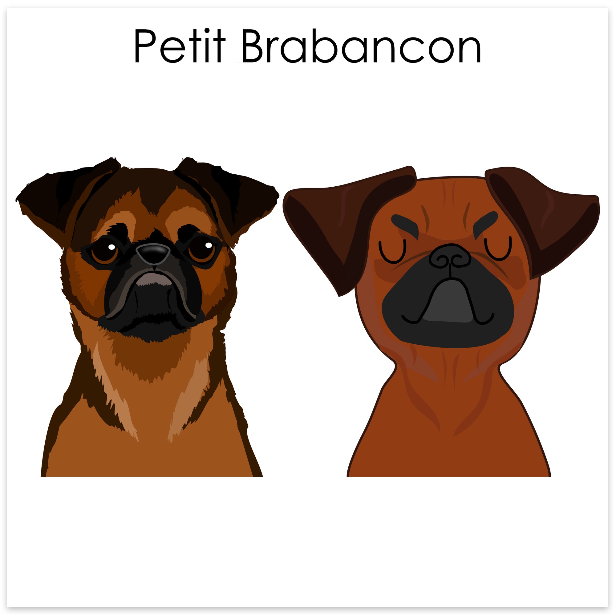 
    Petit Brabancon
  