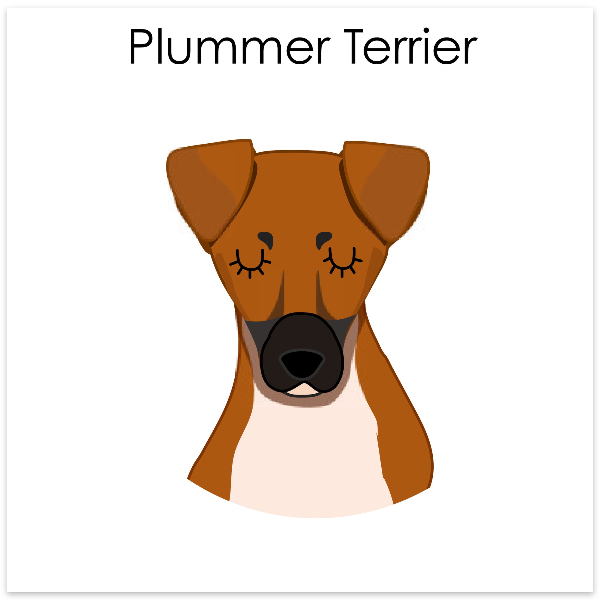 
    Plummer Terrier
  