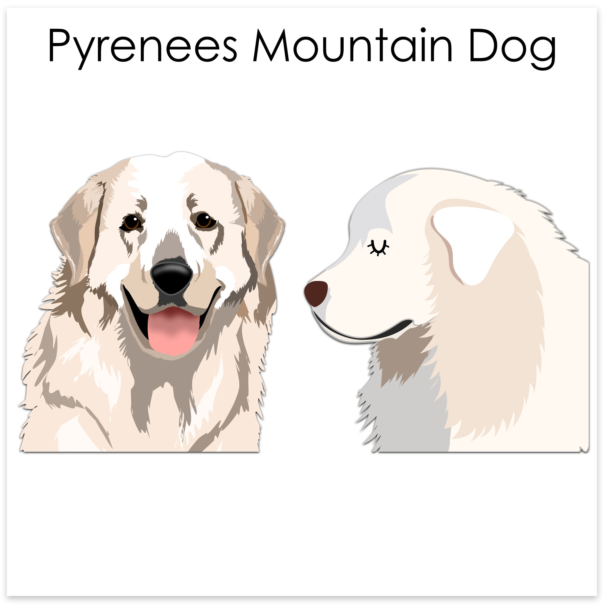 
    Pyrenees Mountain Dog
  