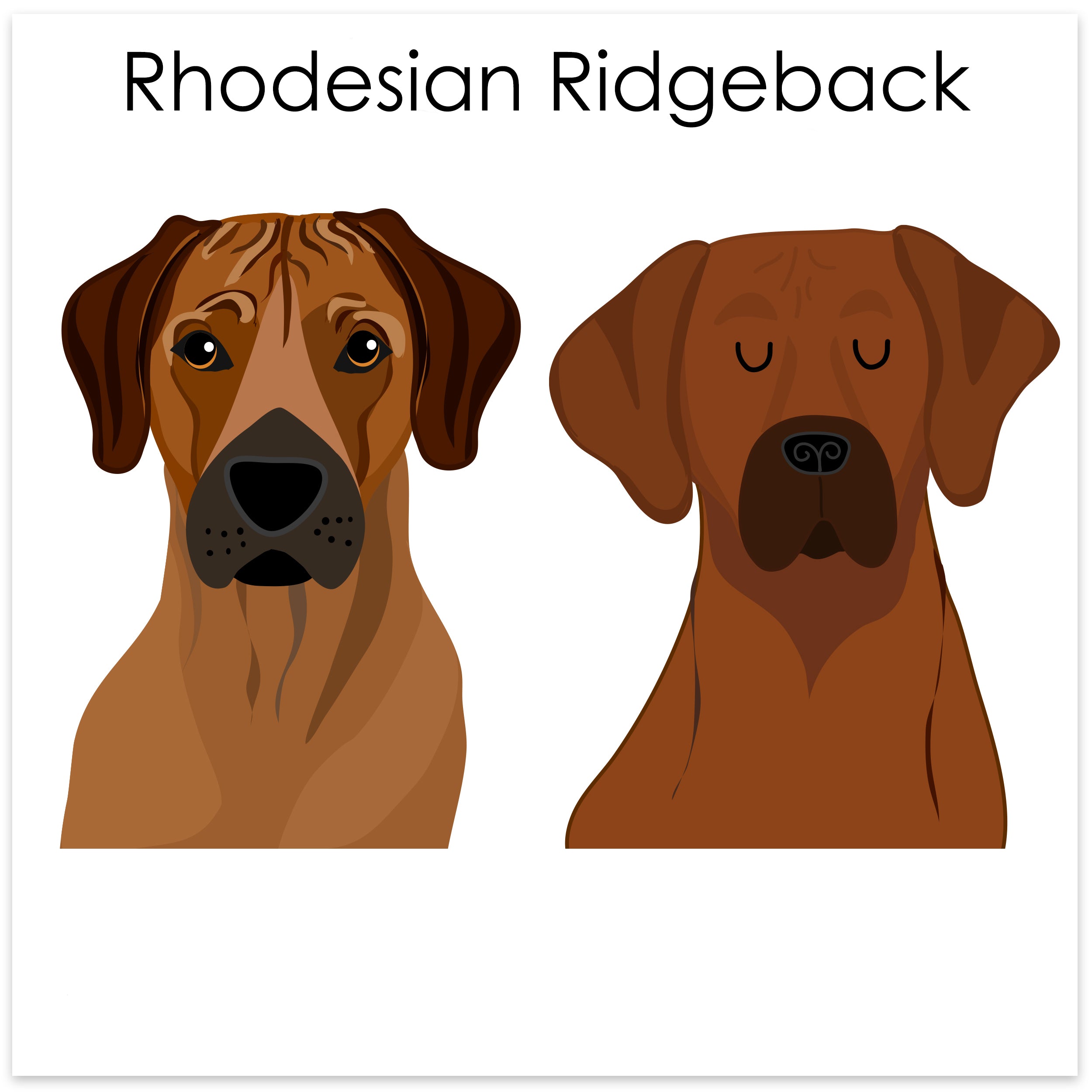 Rhodesian Ridgeback Hoobynoo Personalised Dog Tags, Bowls & more