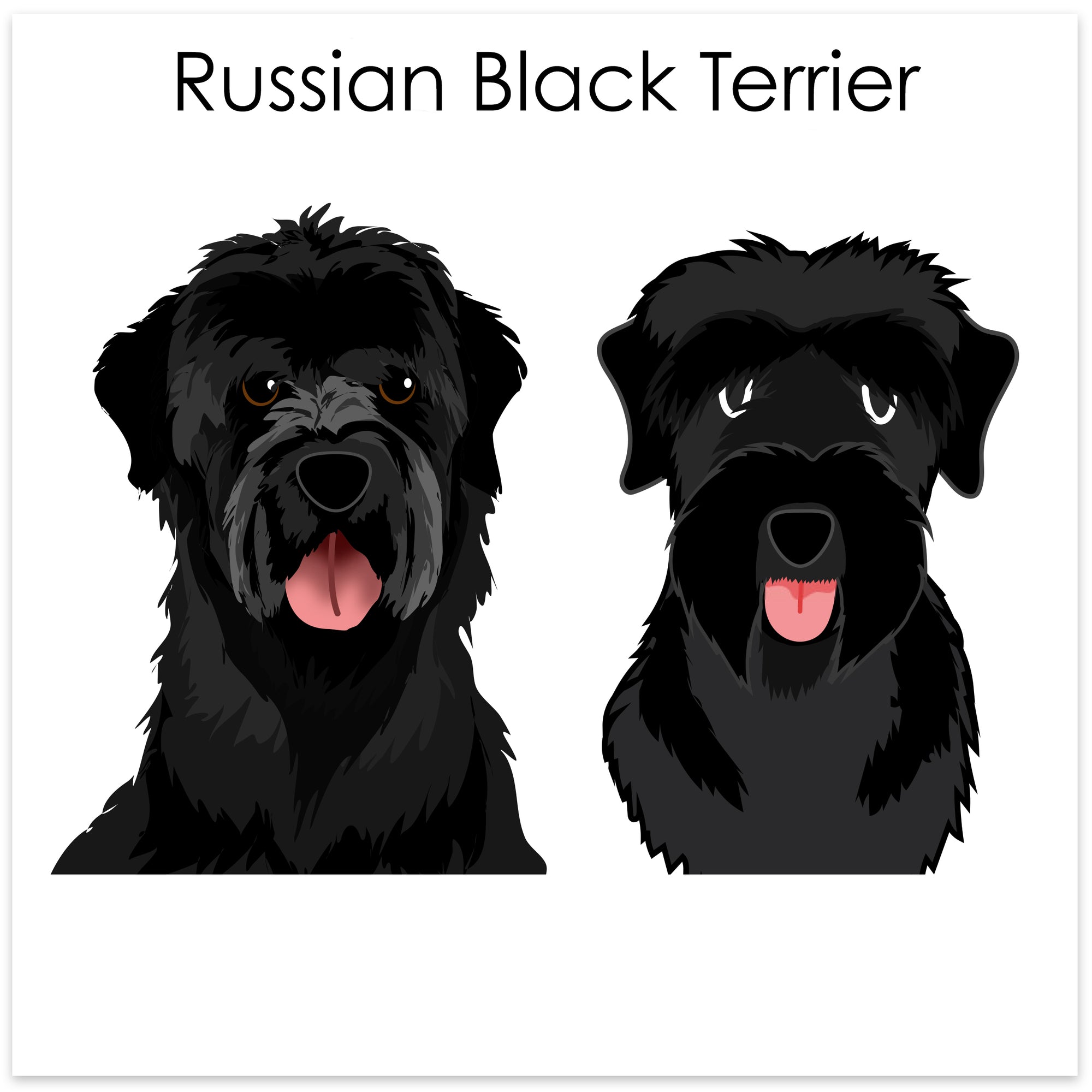 
    Russian Black Terrier
  