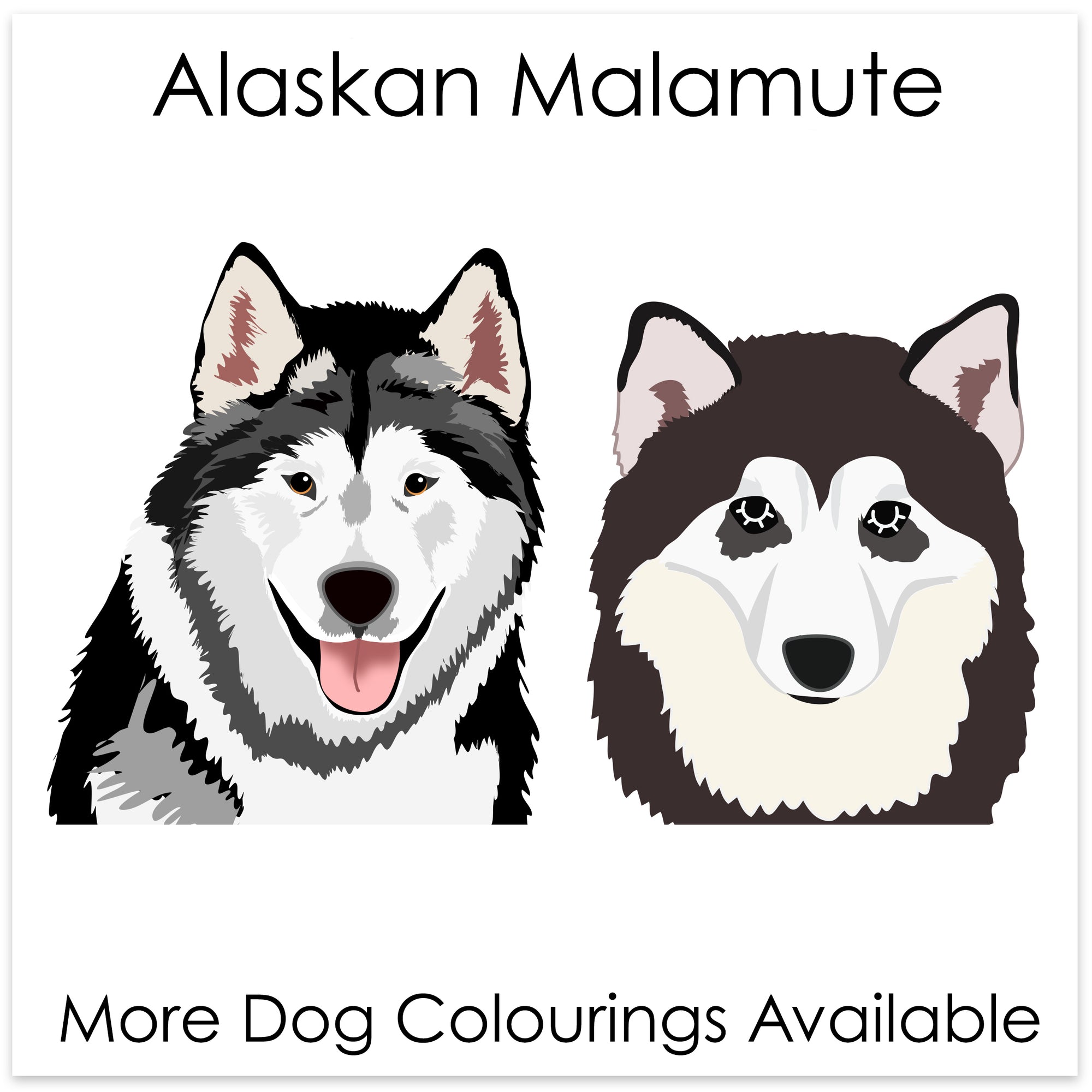 
    Alaskan Malamute
  