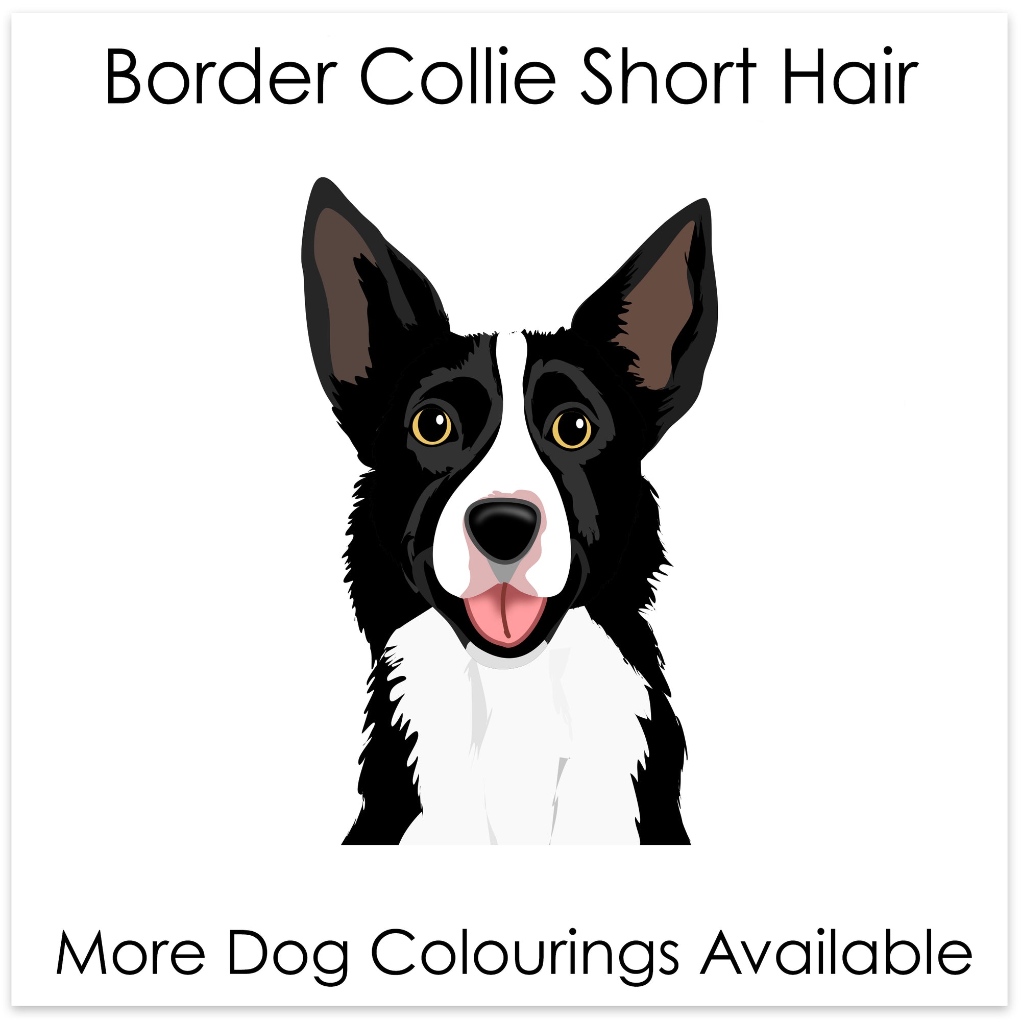 
    Border Collie Short Hair
  