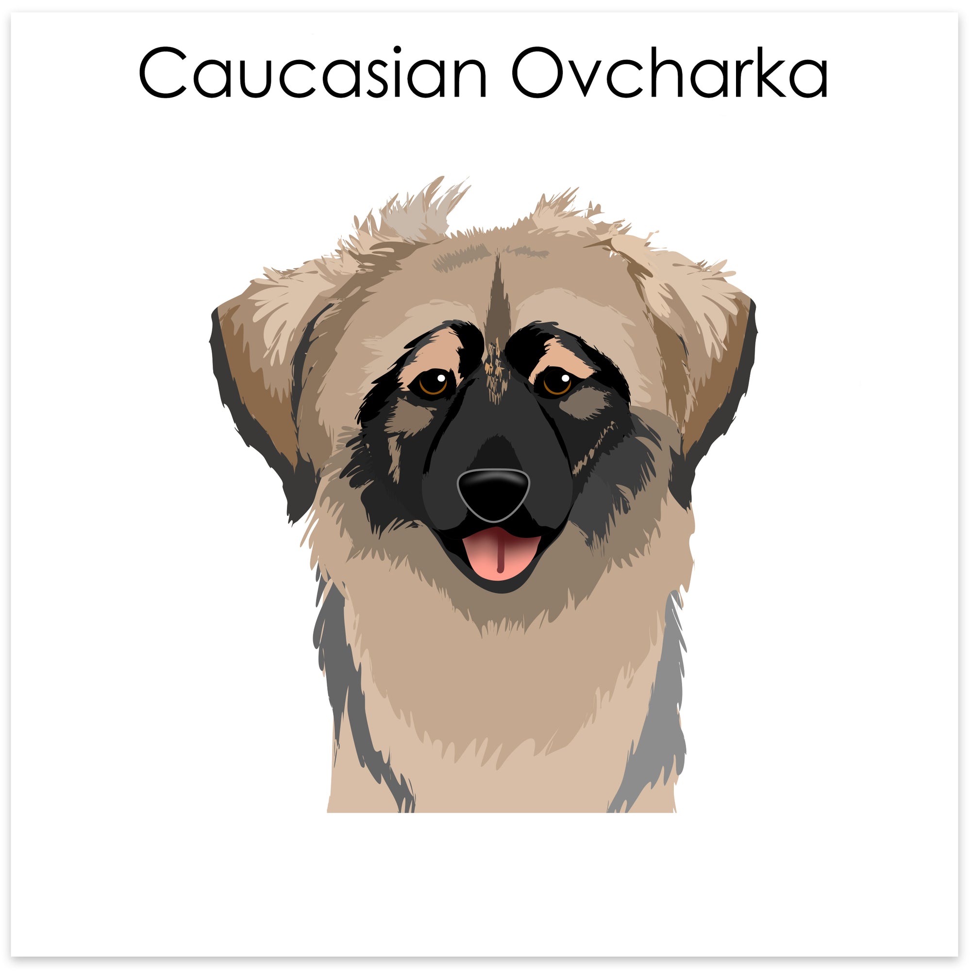 
    Caucasian Ovcharka
  