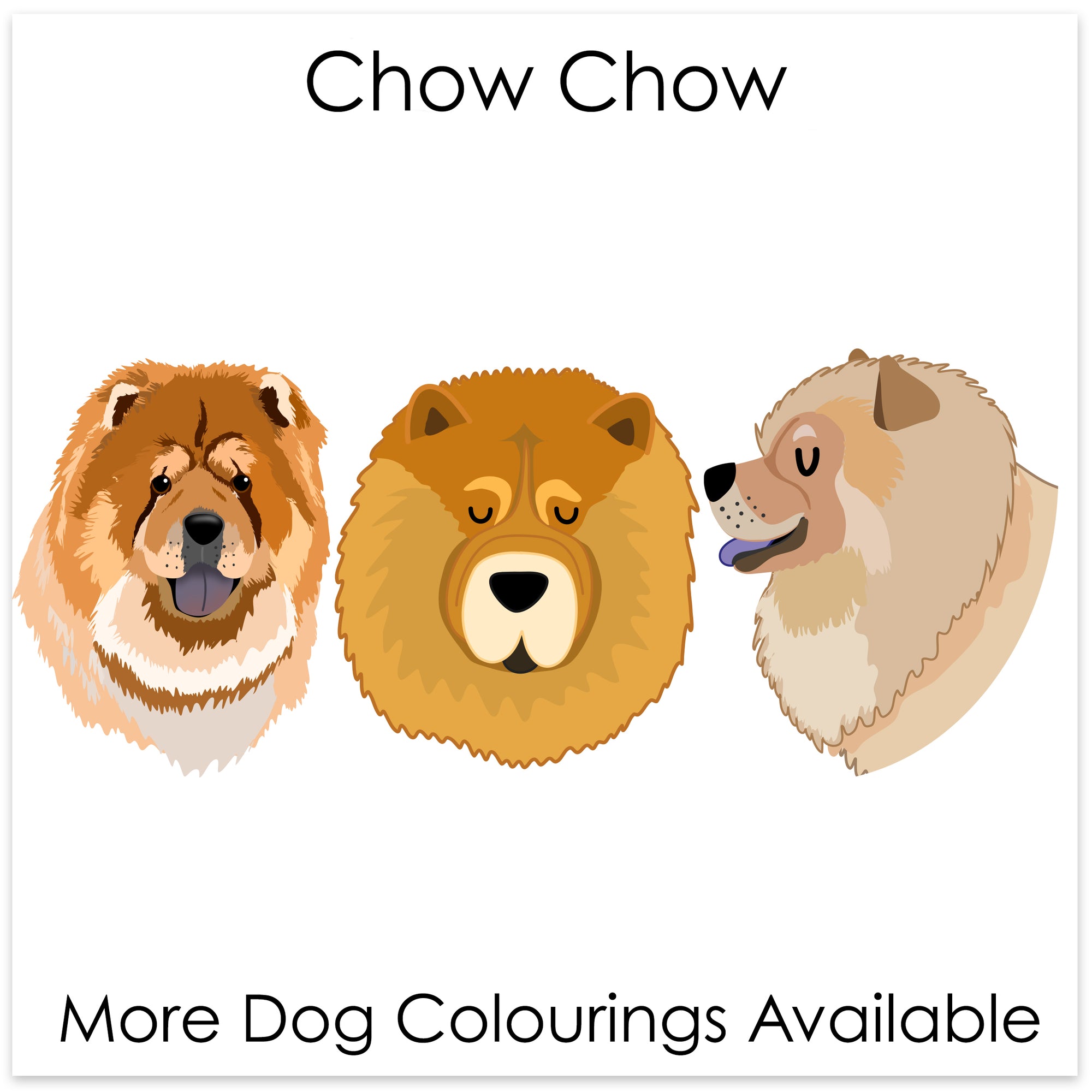 
    Chow Chow
  