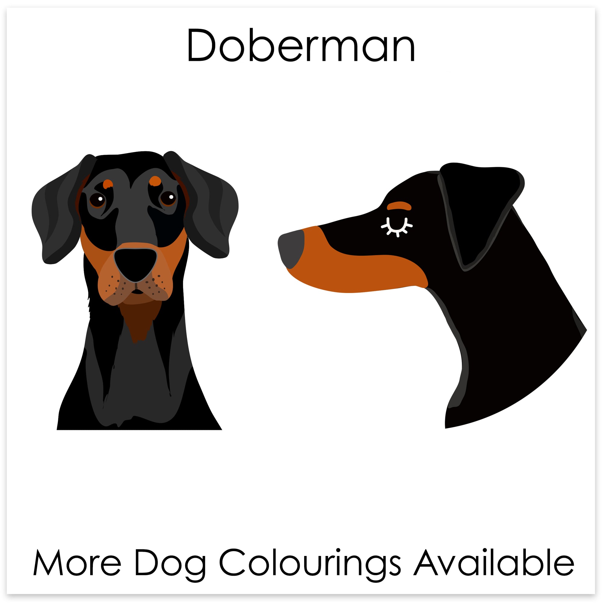 
    Doberman
  