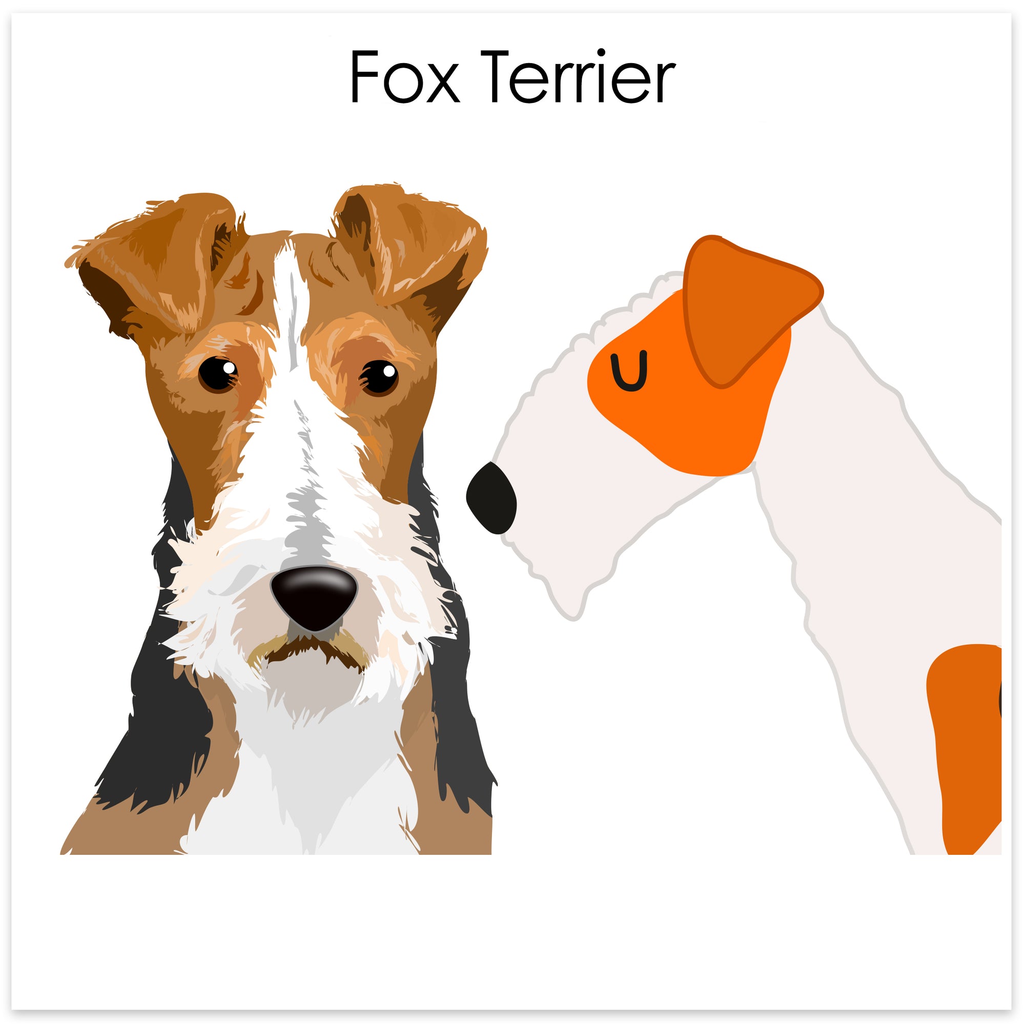 
    Fox Terrier
  