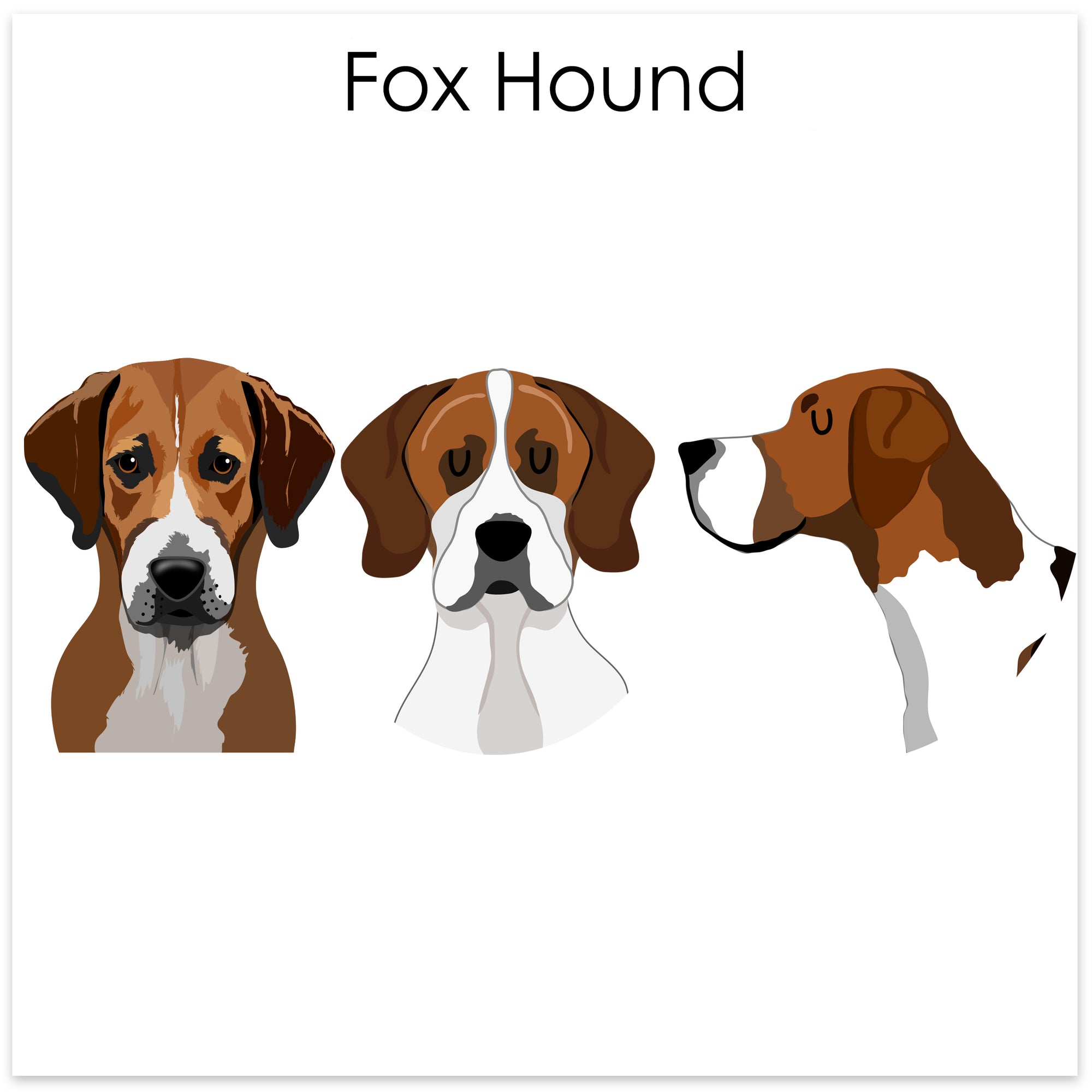 
    Fox Hound
  