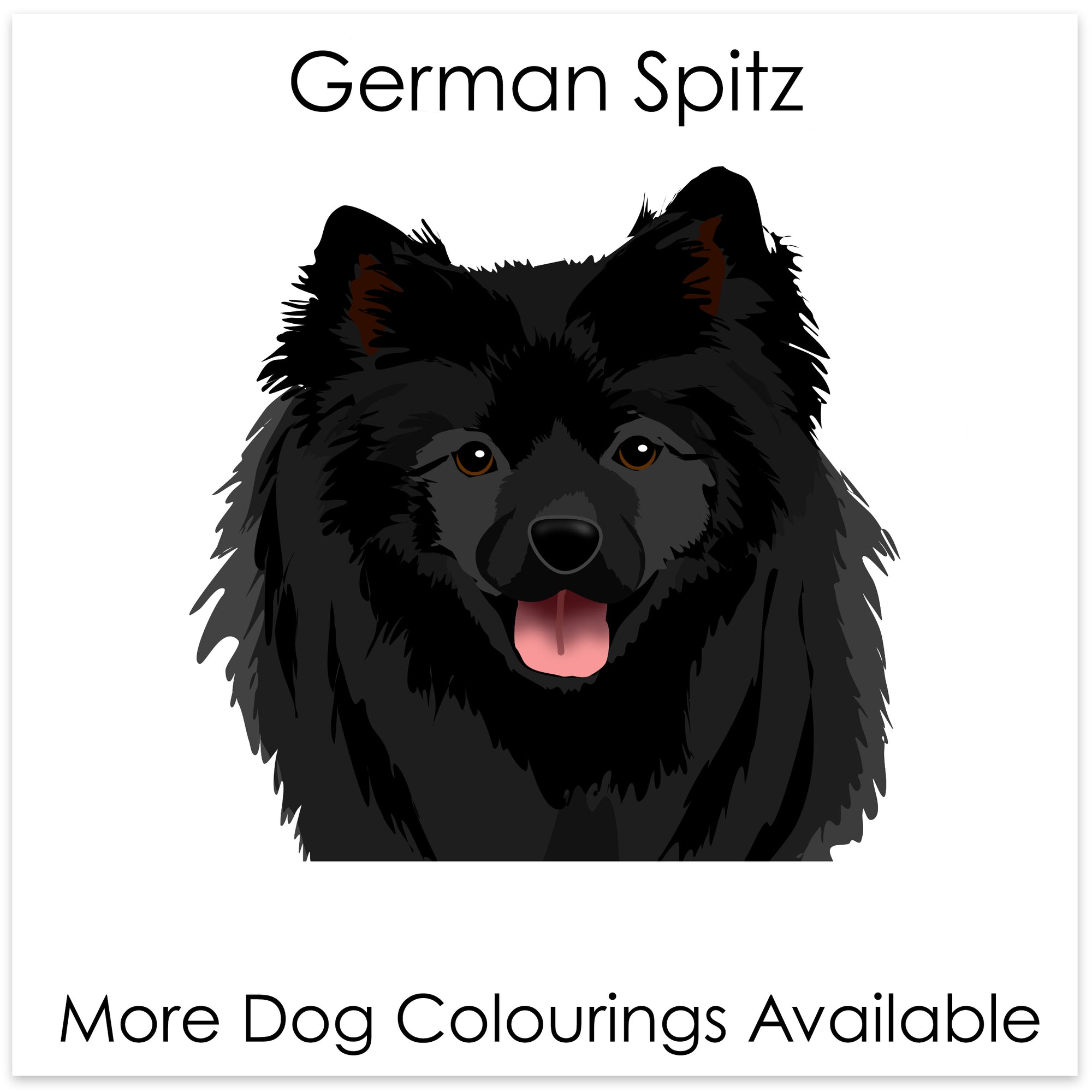 
    German Spitz
  