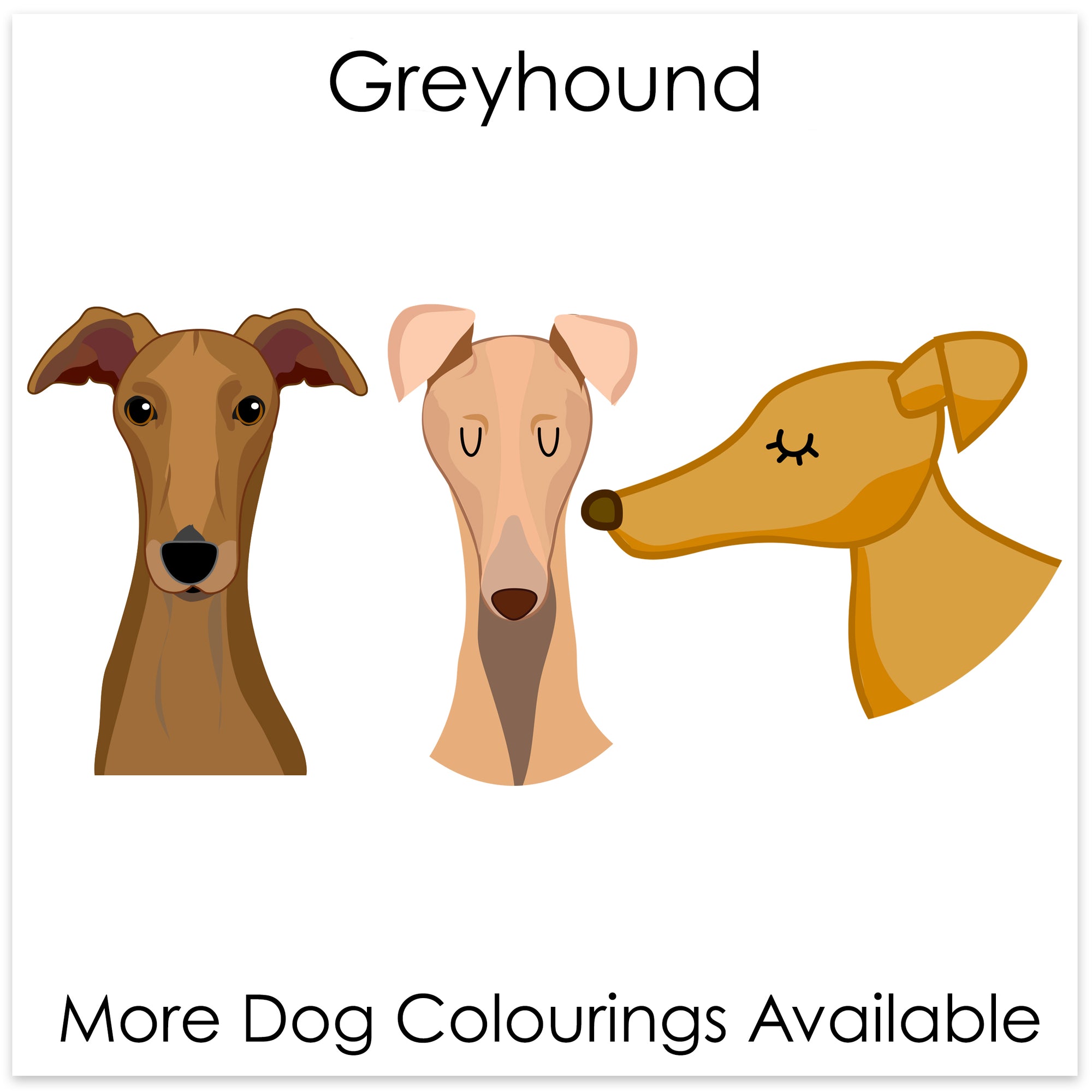 
    Greyhound/Whippet
  