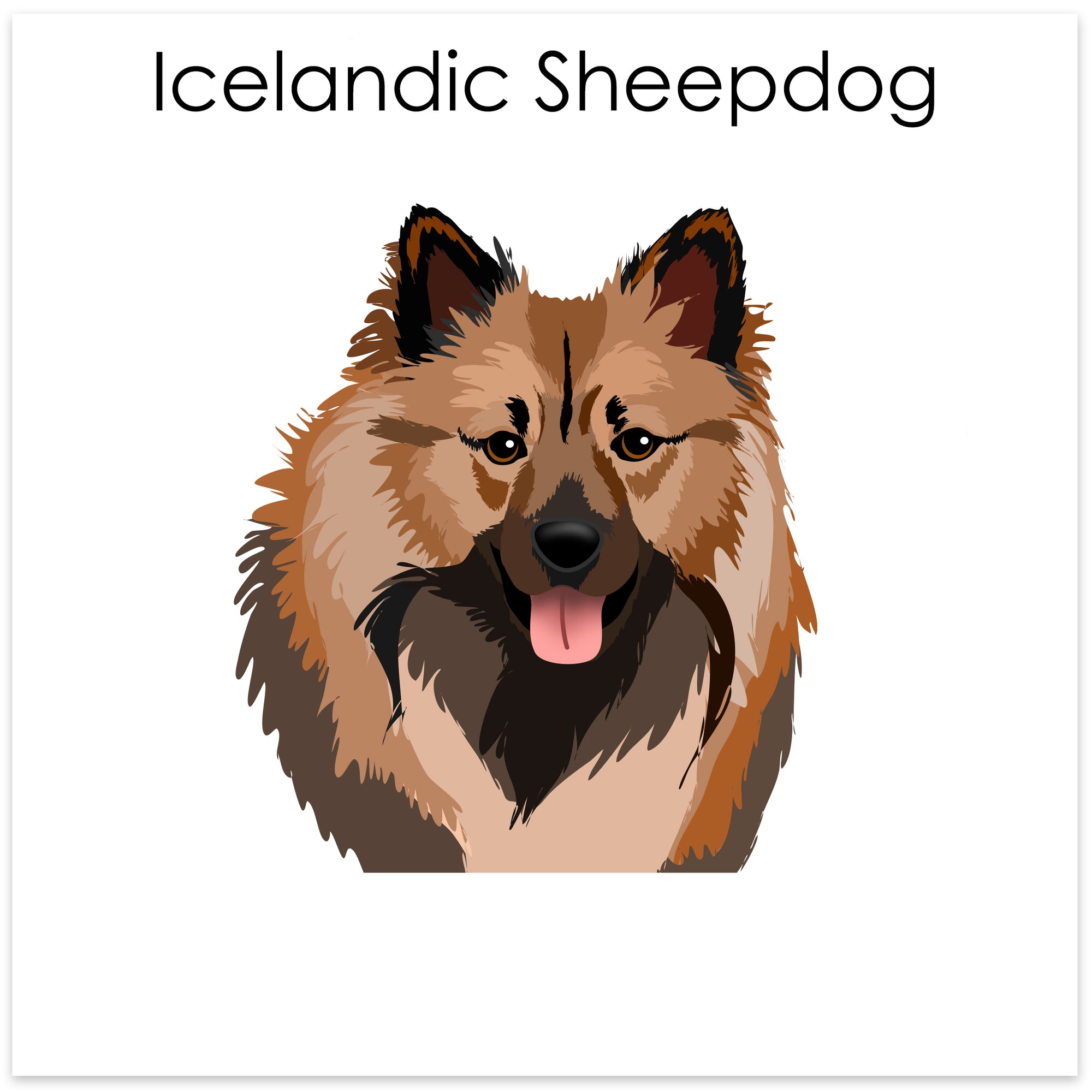 
    Icelandic Sheepdog
  