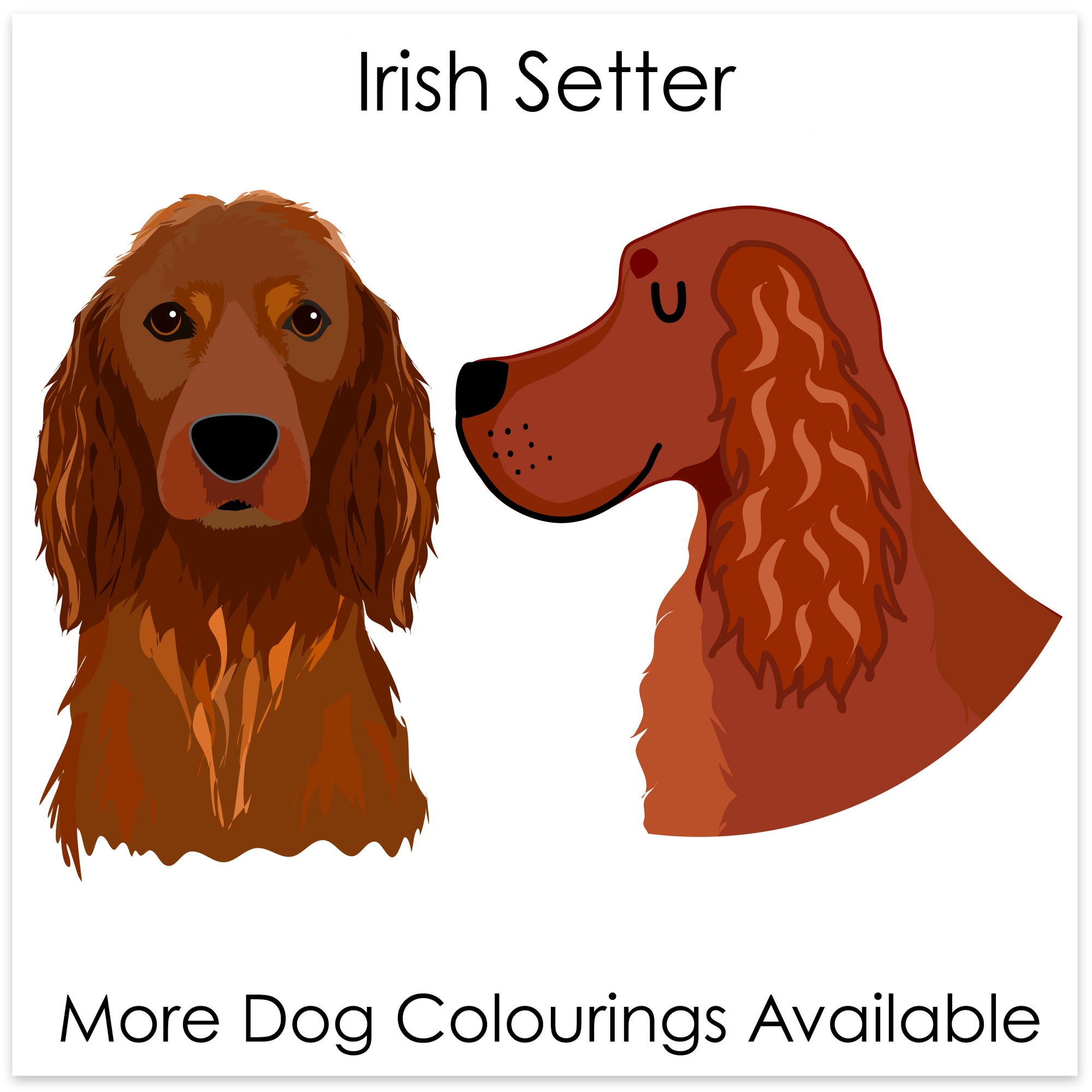 
    Irish Setter
  