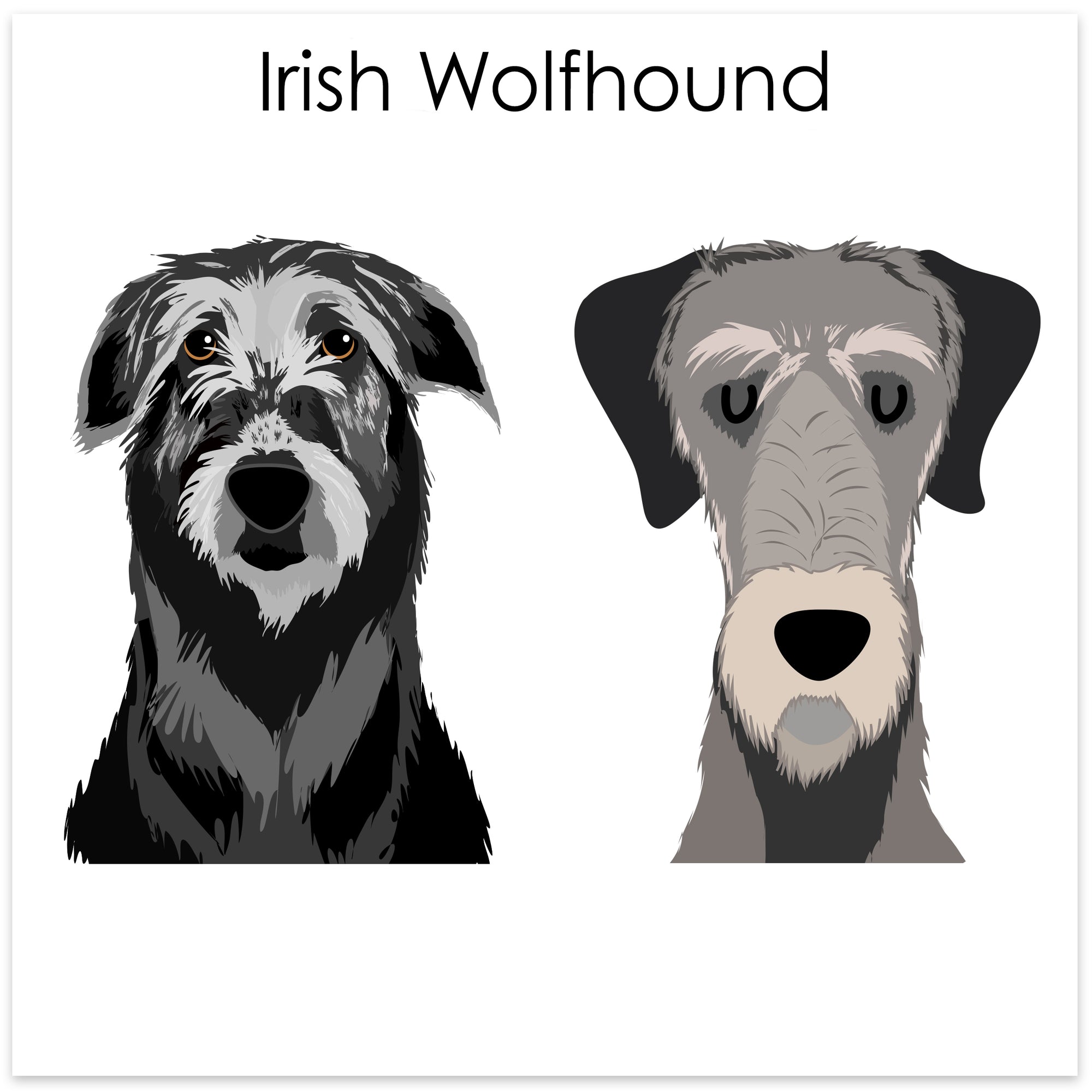 
    Irish Wolfhound
  