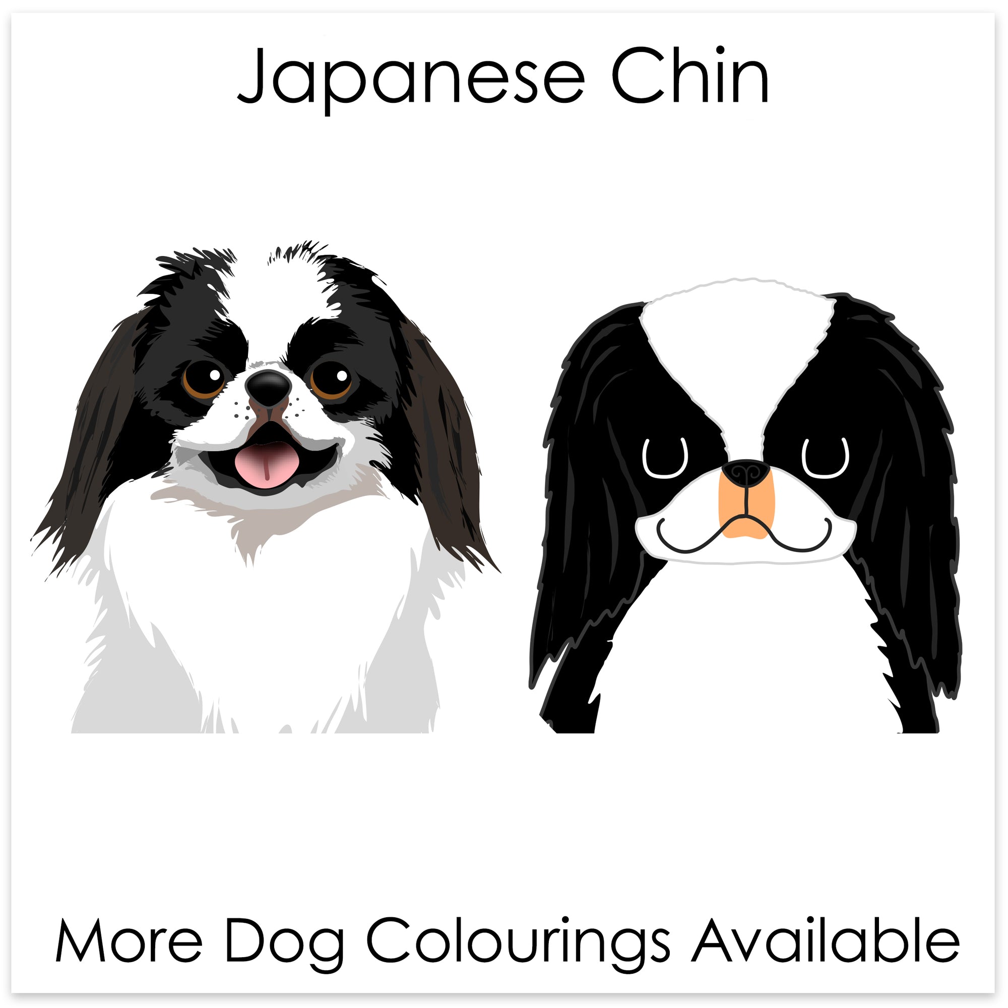 
    Japanese Chin
  