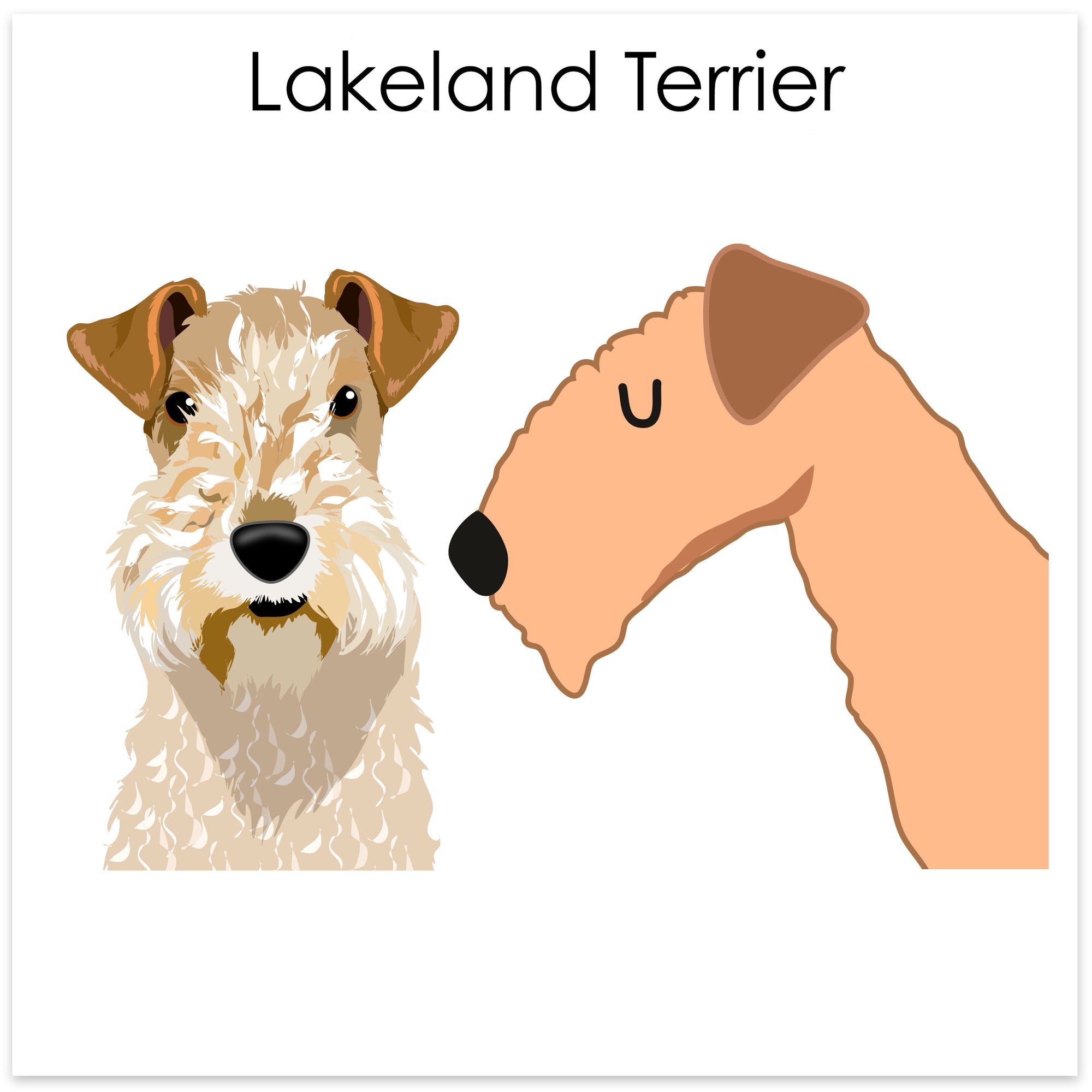 
    Lakeland/Fox/Irish/ Welsh Terrier
  