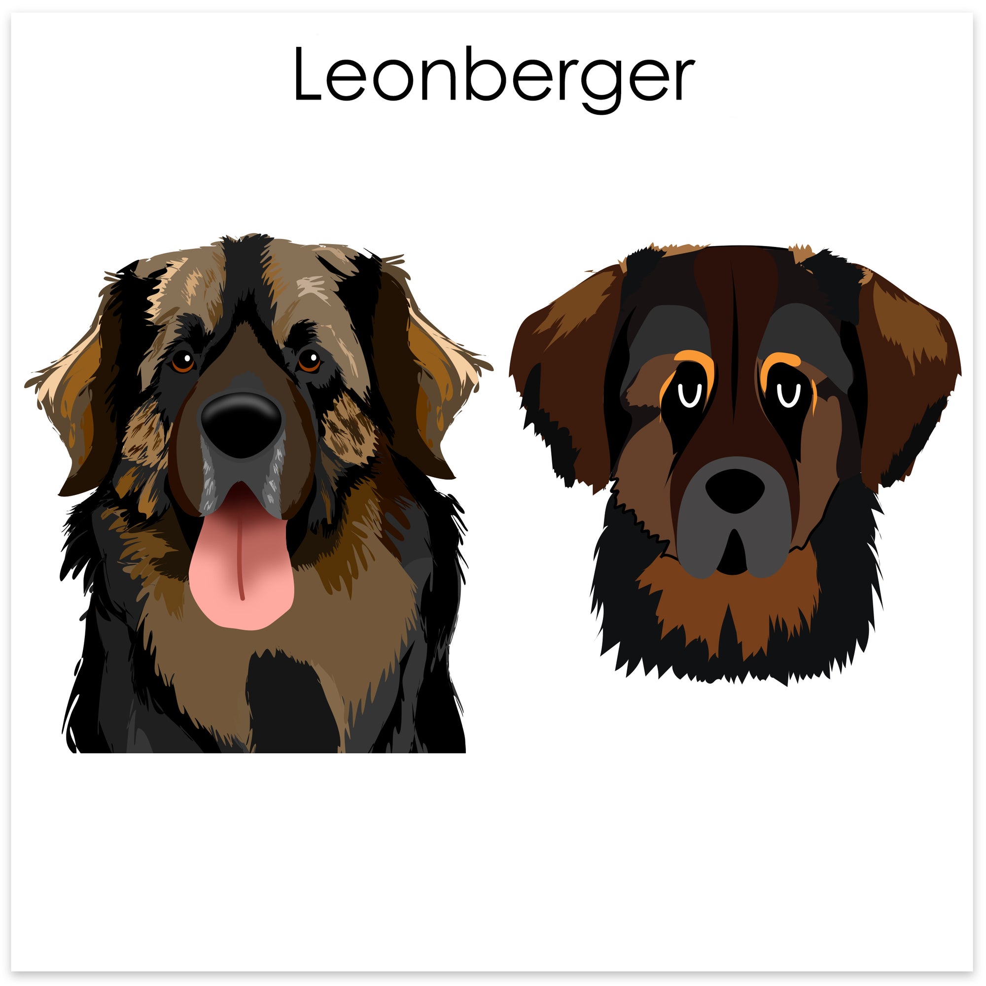 
    Leonberger
  