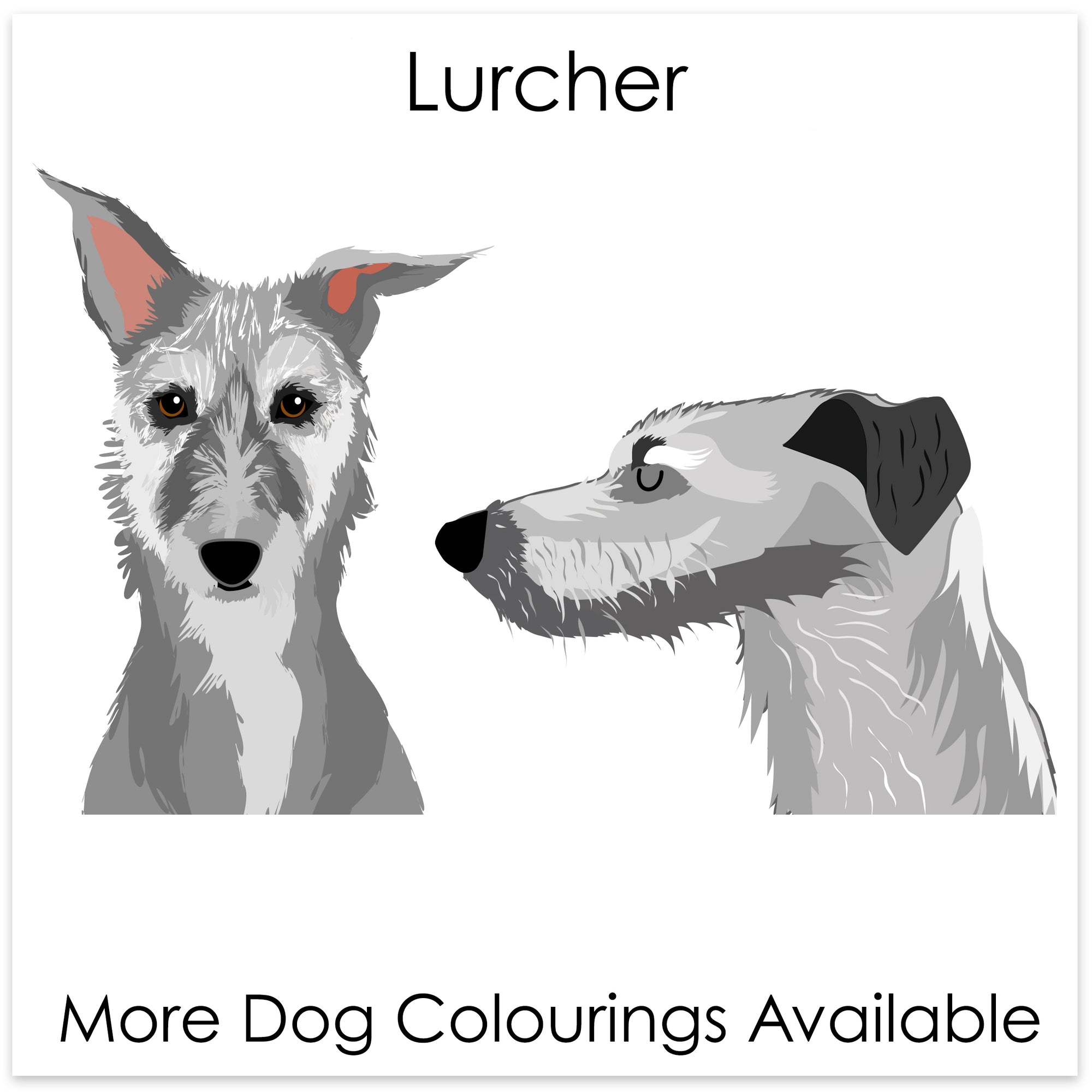 
    Lurcher
  