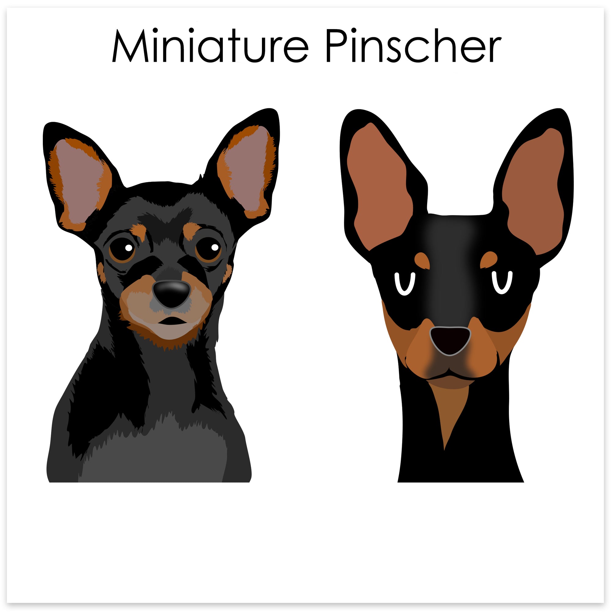
    Miniature Pinscher
  