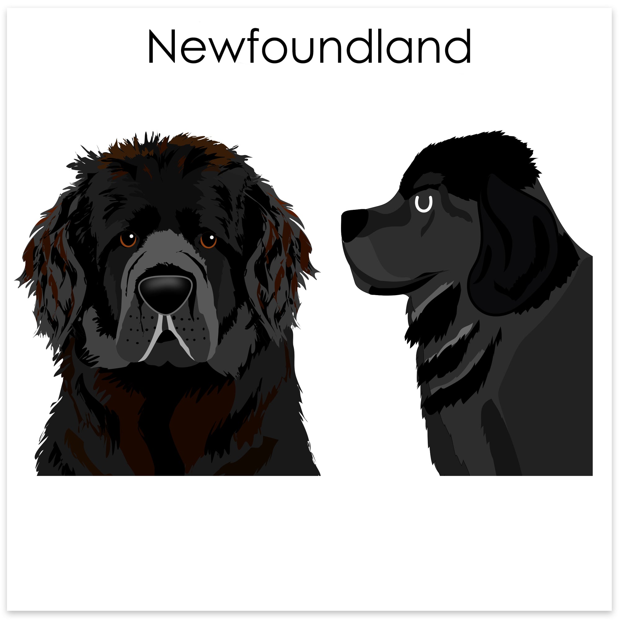 
    Newfoundland
  