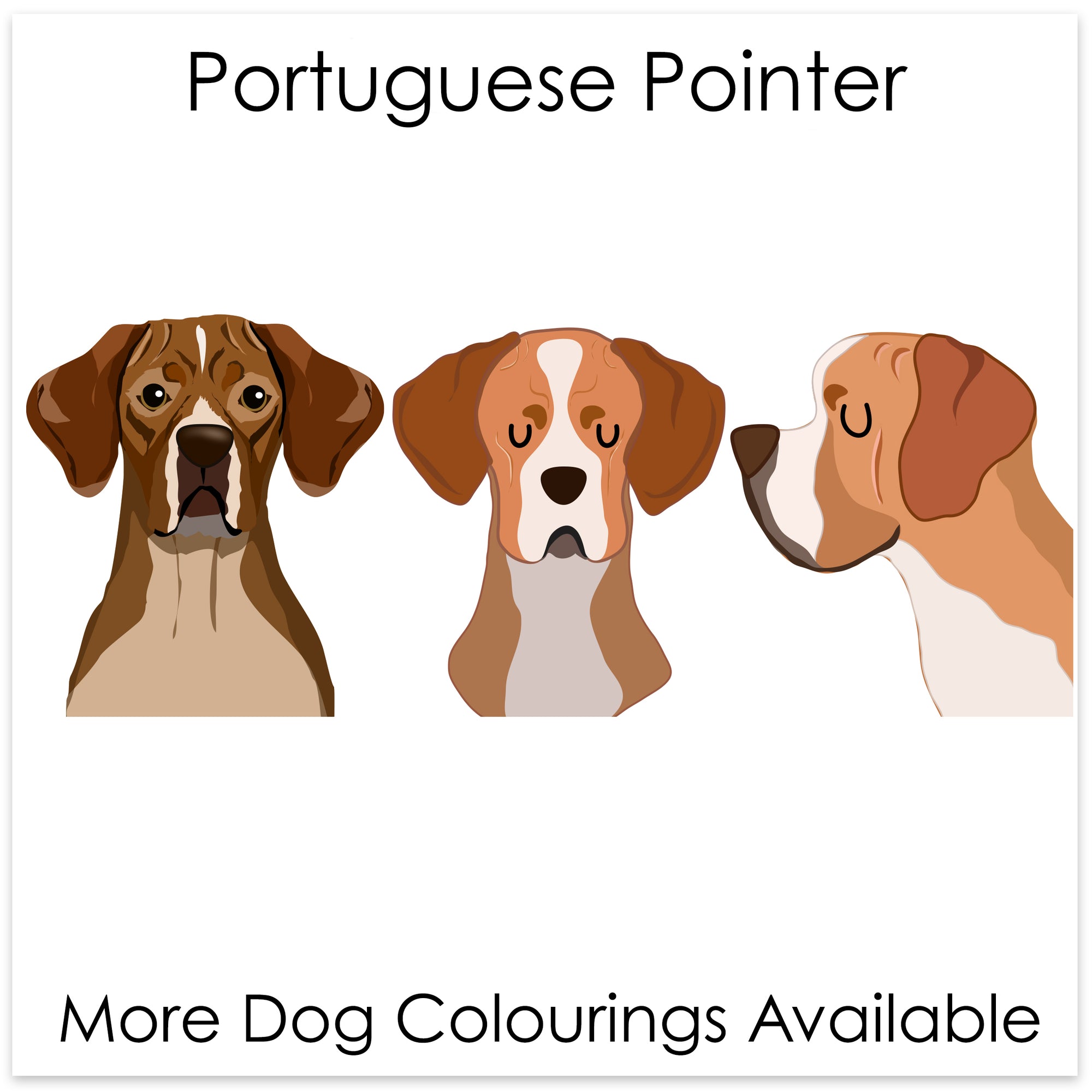 
    Portuguese Pointer
  