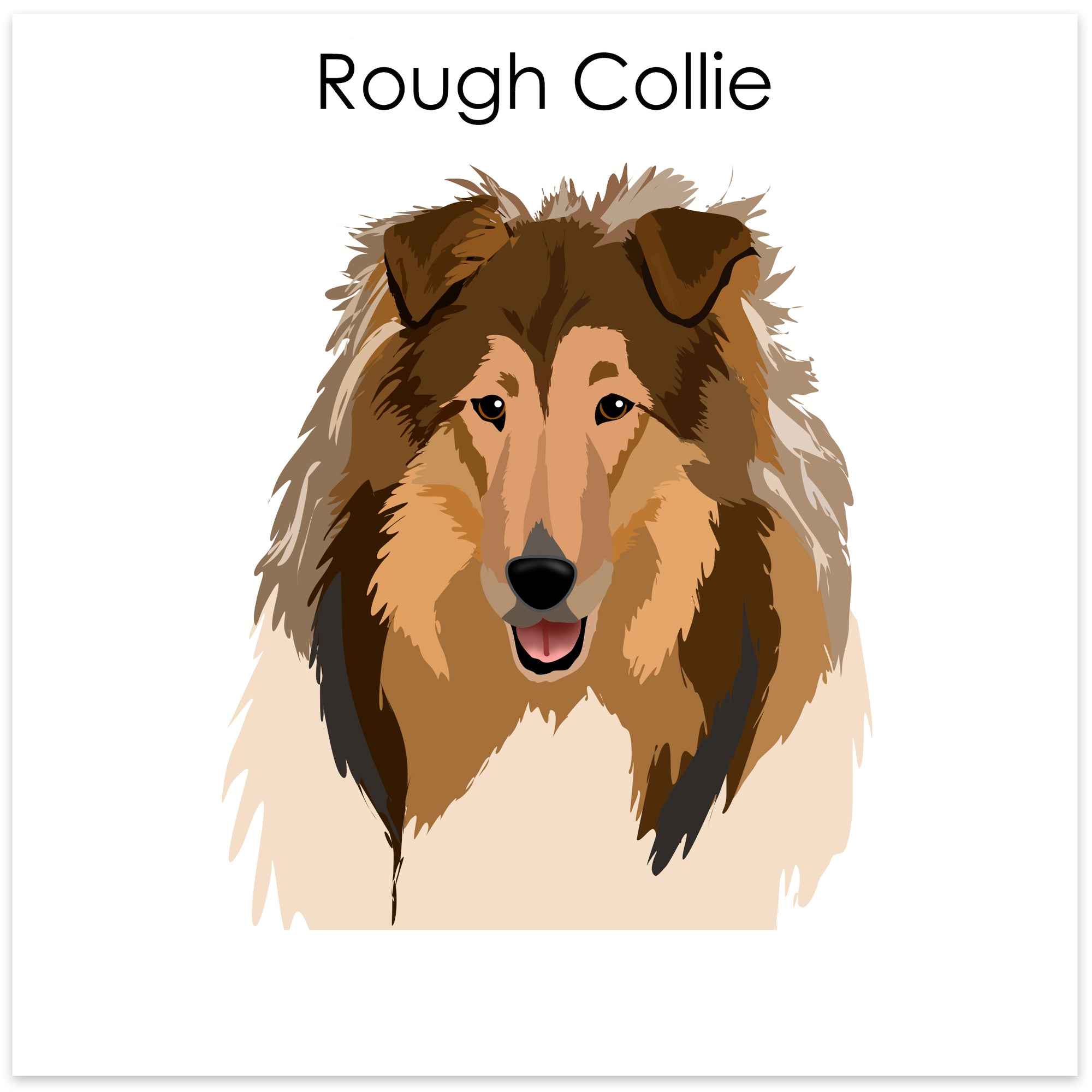 
    Rough Collie
  
