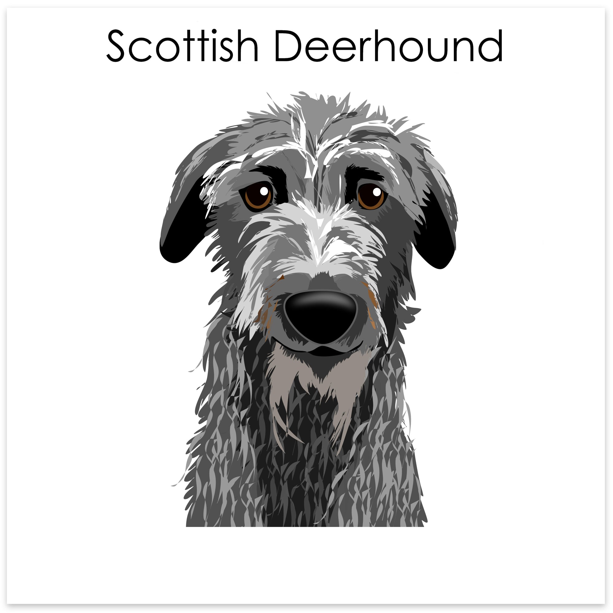 
    Scottish Deerhound
  