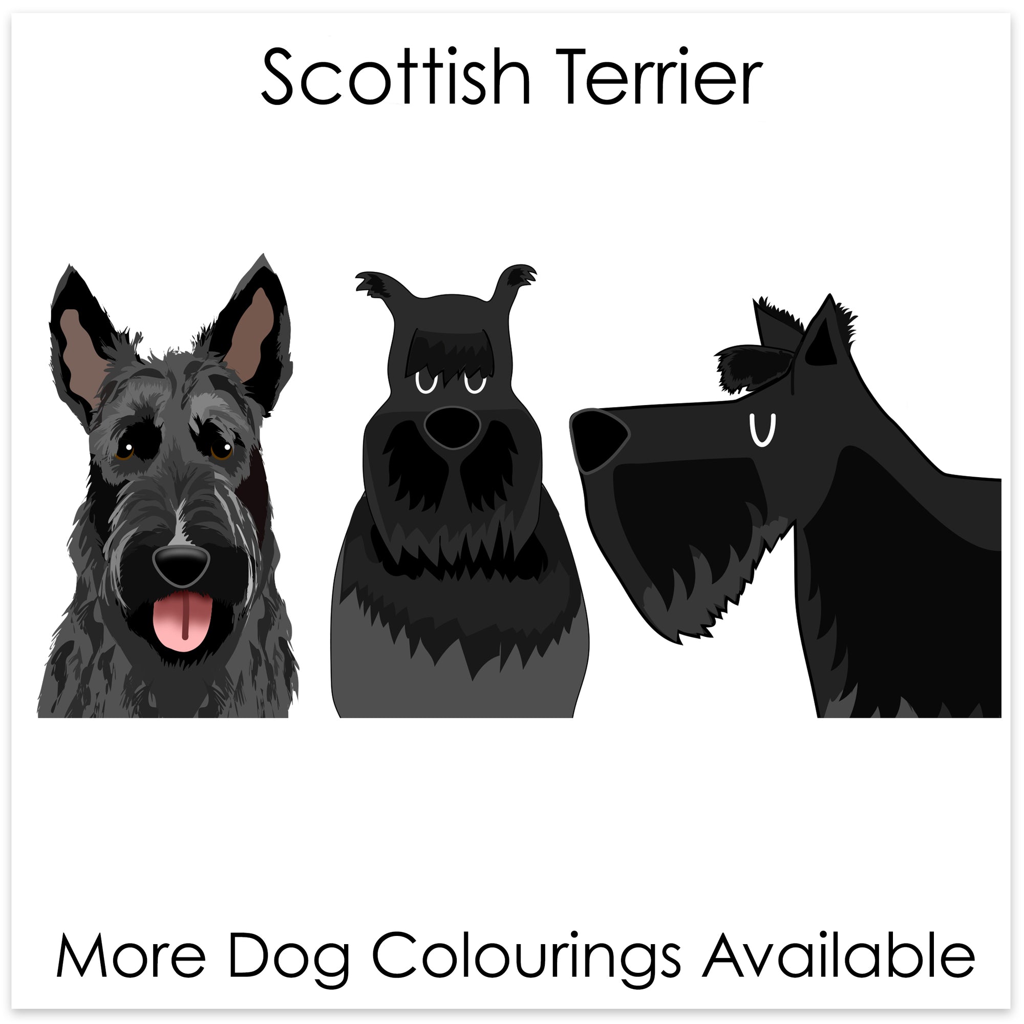
    Scottish Terrier
  