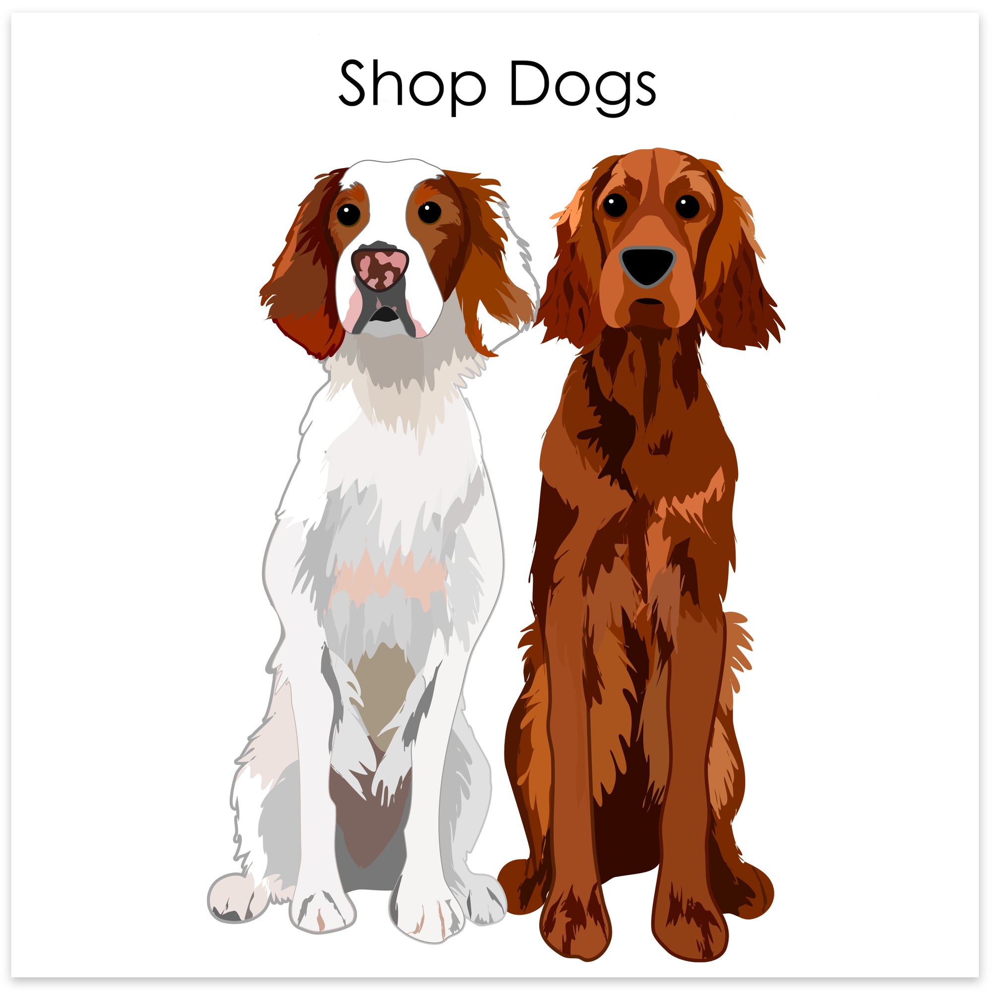 
    Shop Dogs
  