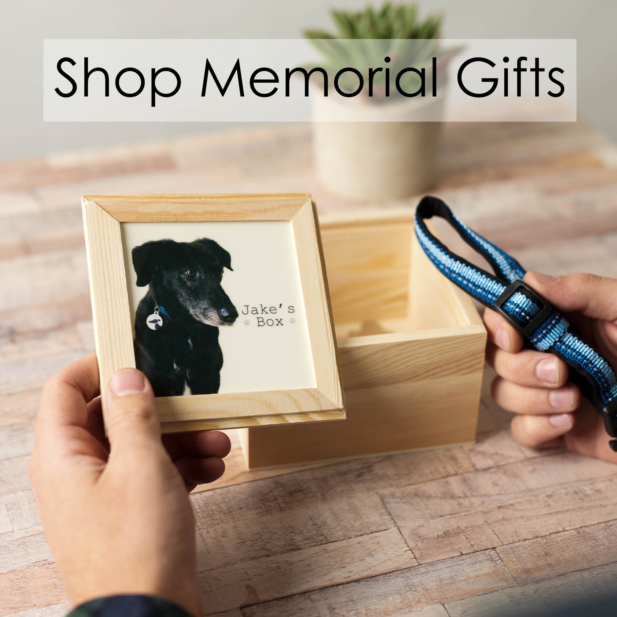 
    Shop Memorial Gifts
  