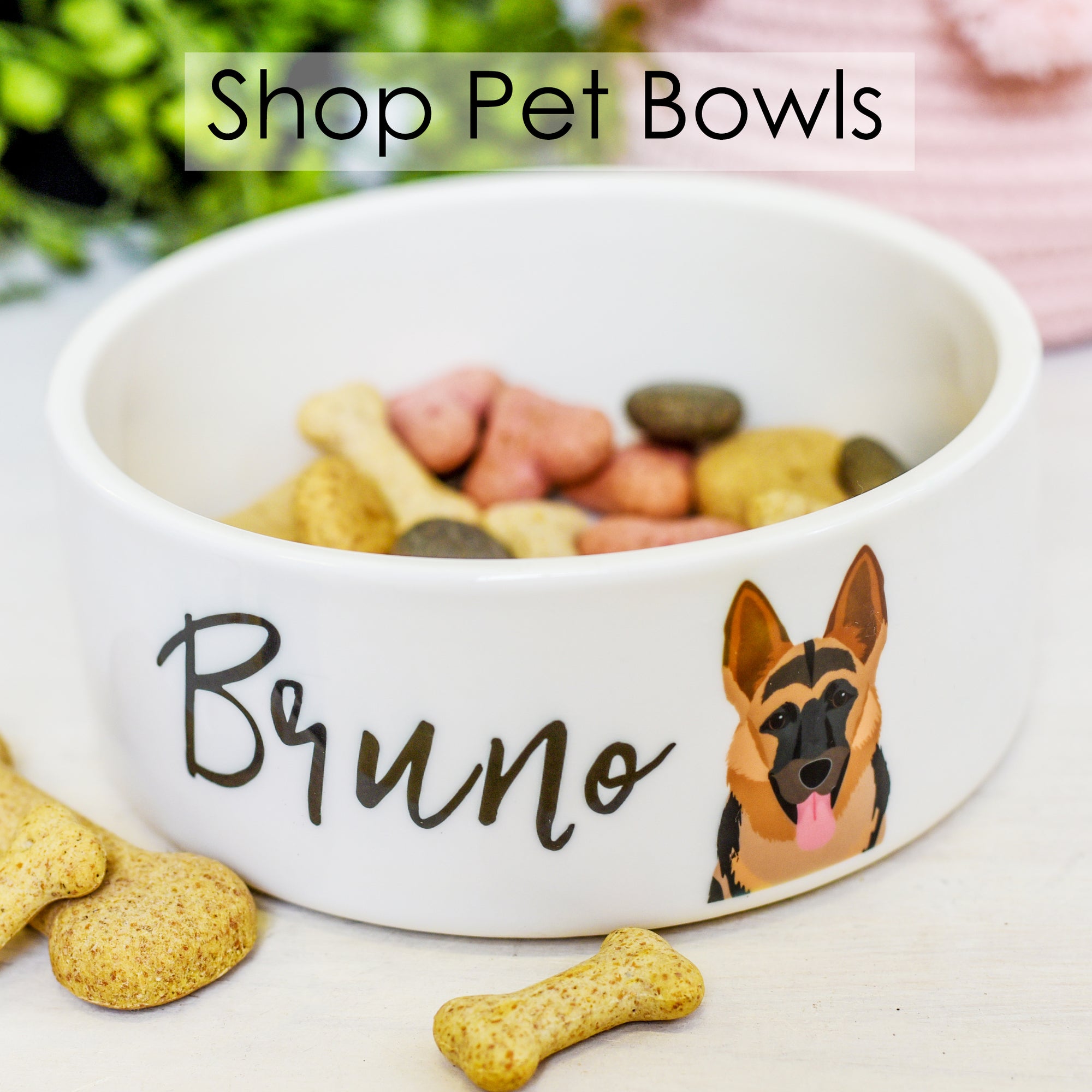 
    Shop Pet Bowls
  