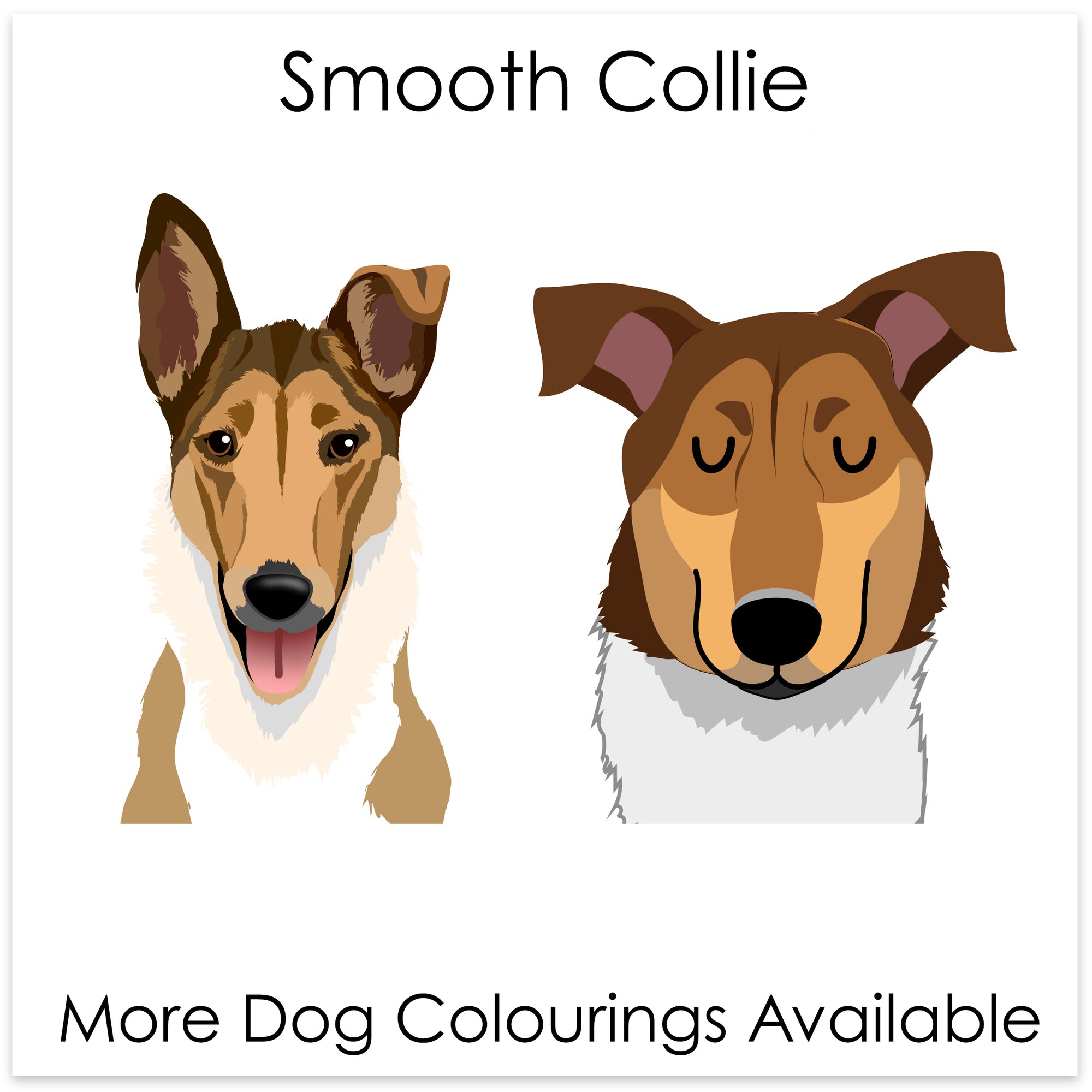 
    Smooth Collie
  