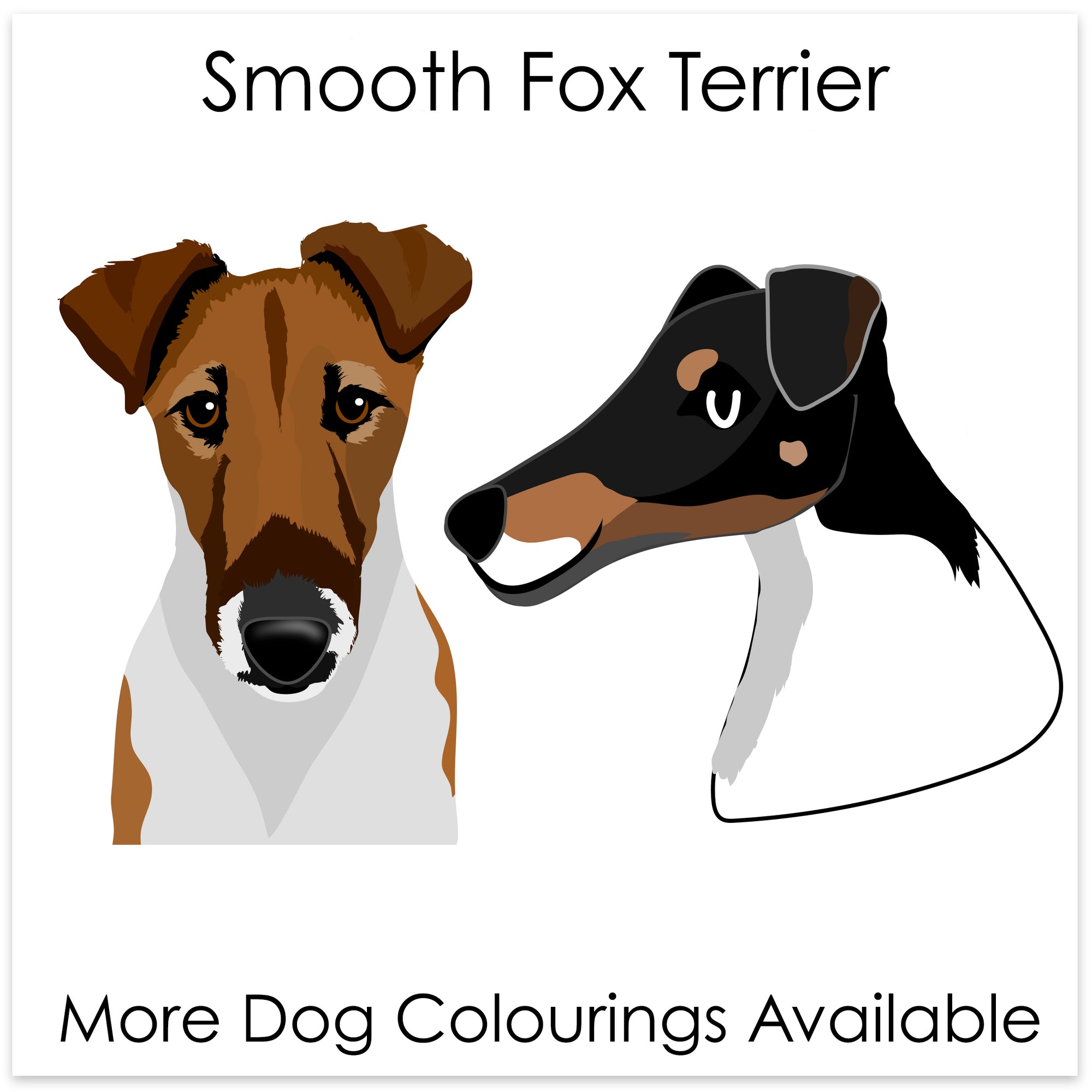 
    Smooth Fox Terrier
  