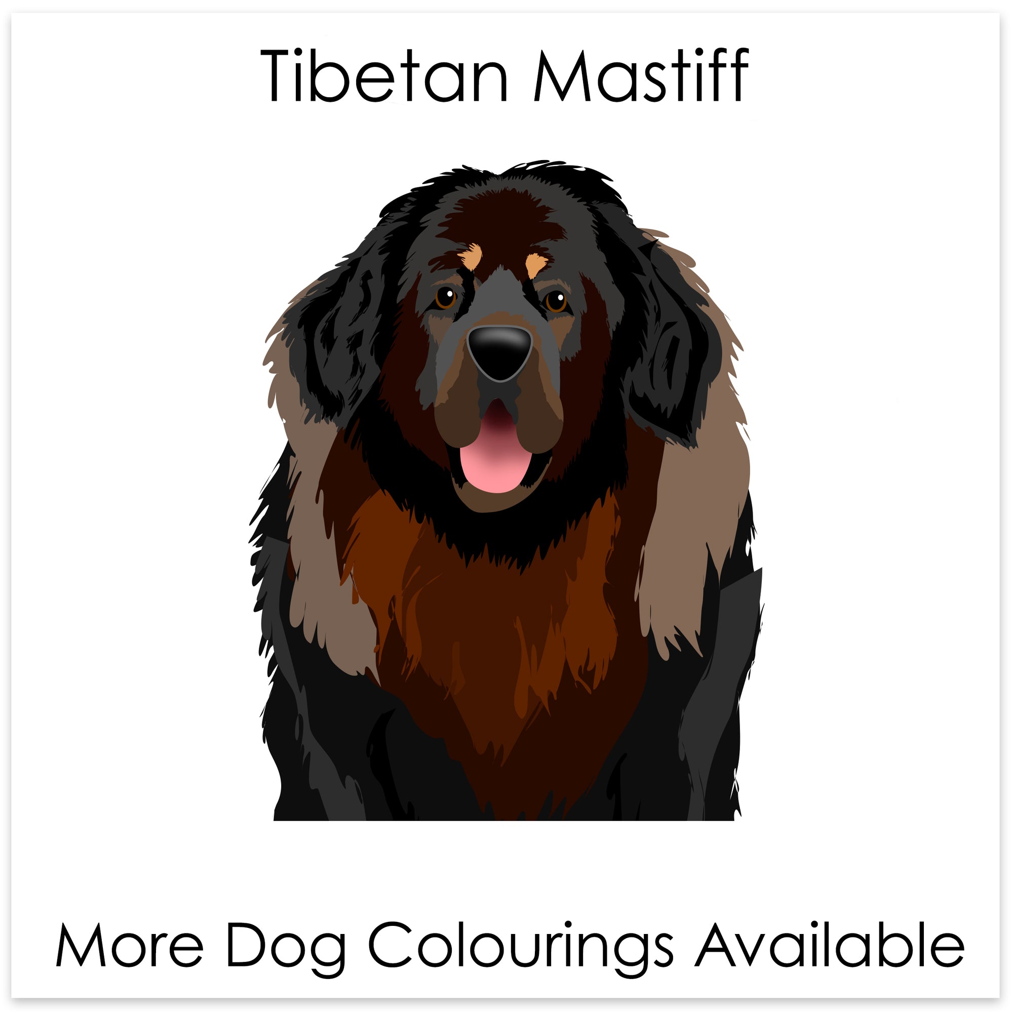 
    Tibetan Mastiff
  