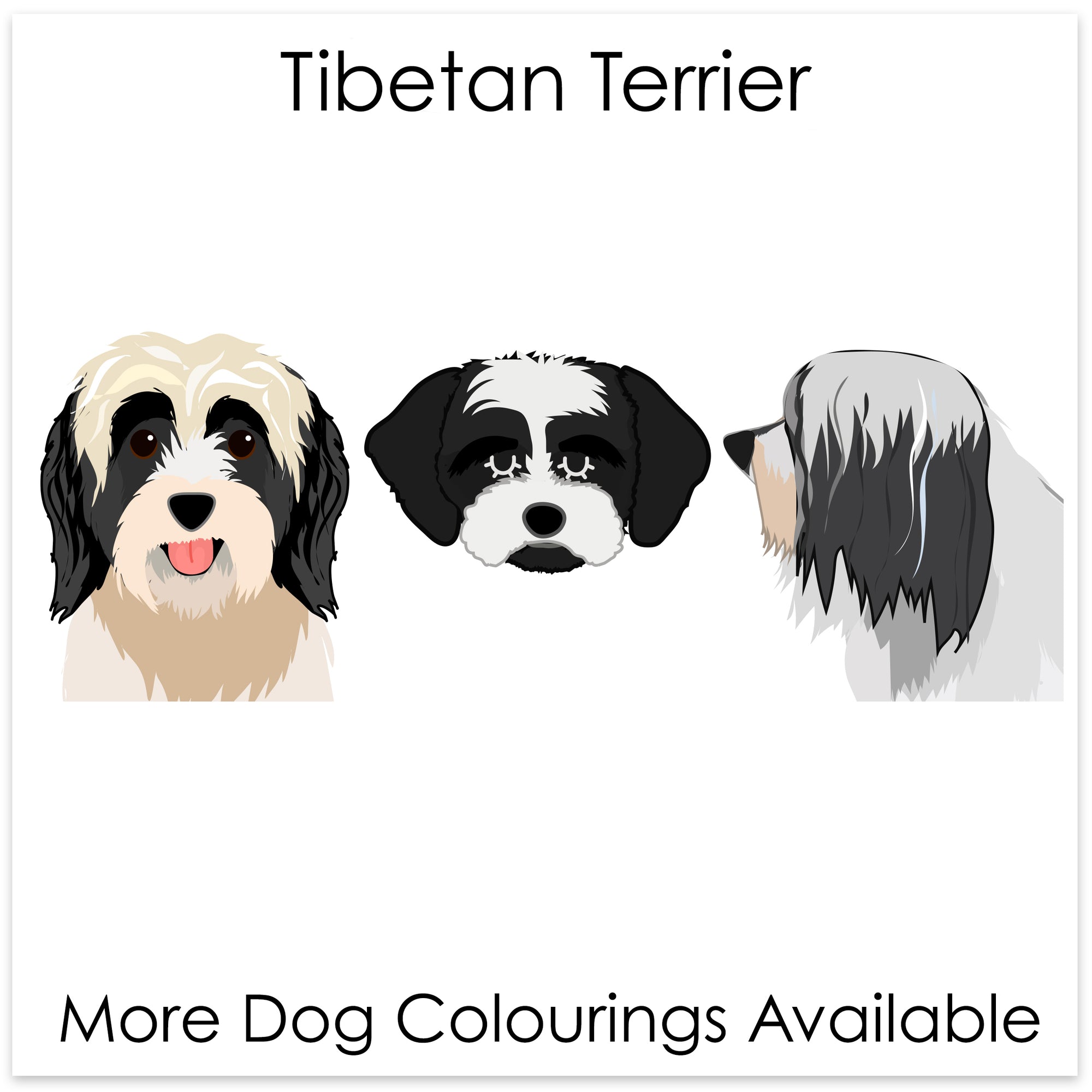 
    Tibetan Terrier
  