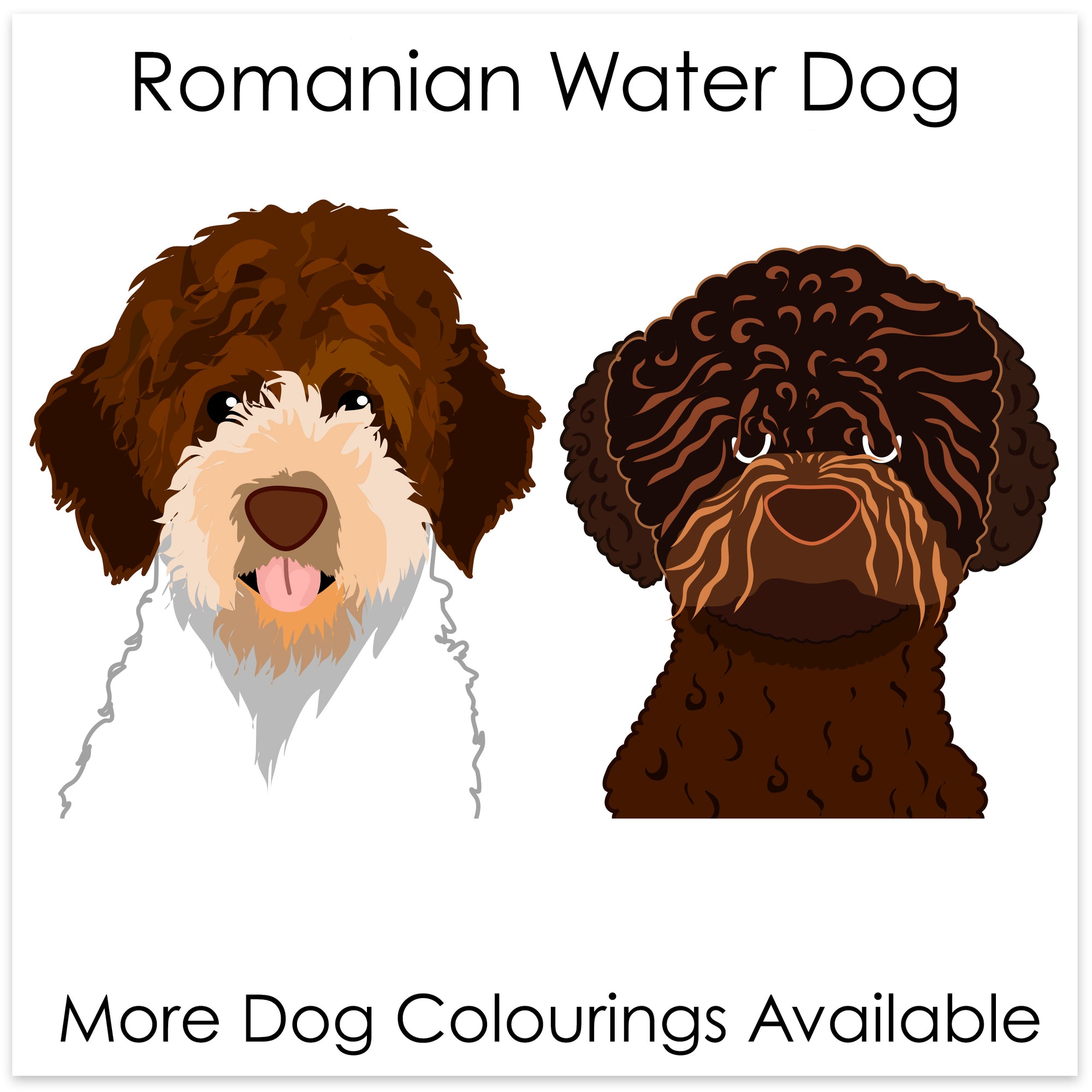 
    Romania Water Dog
  