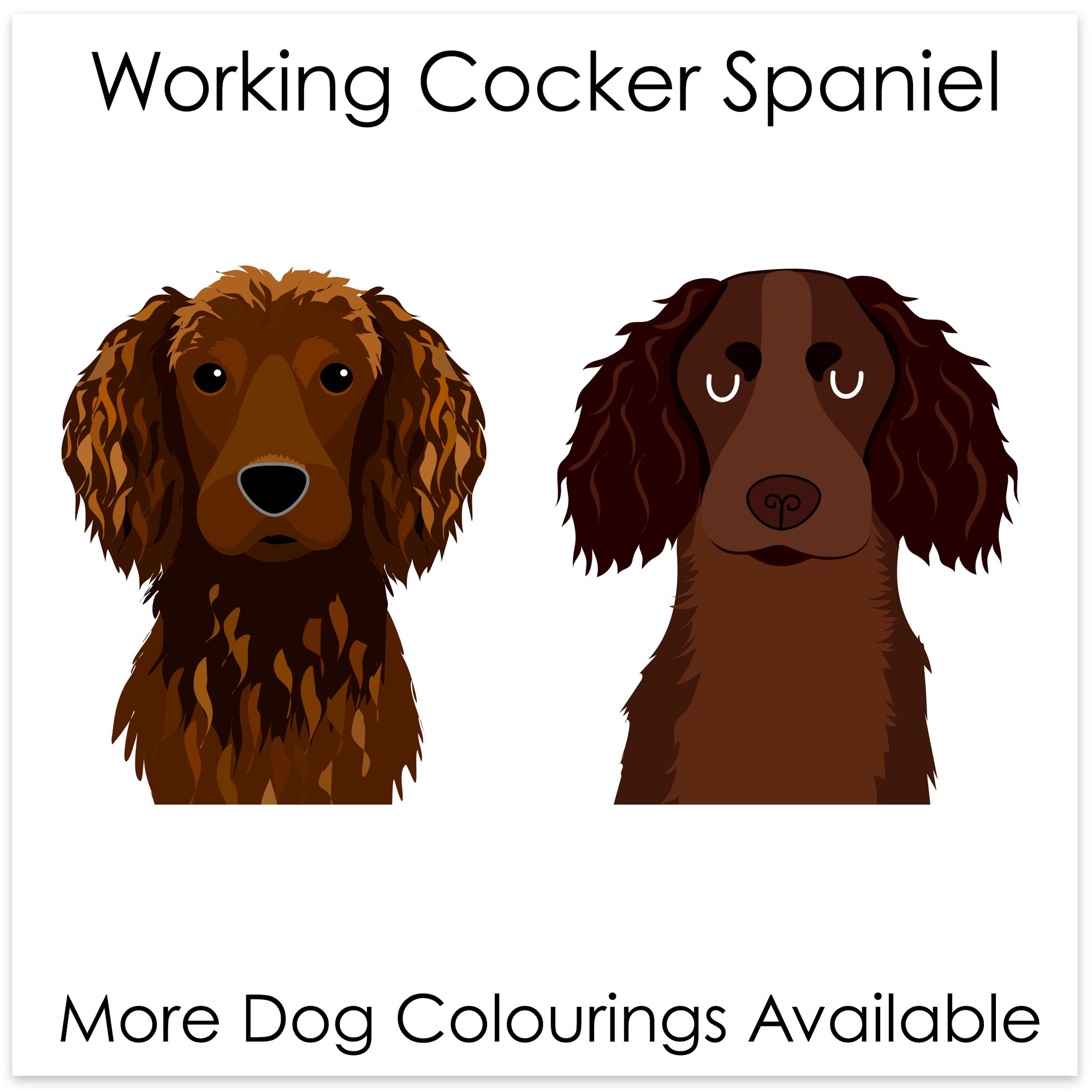 
    Working Cocker Spaniel
  