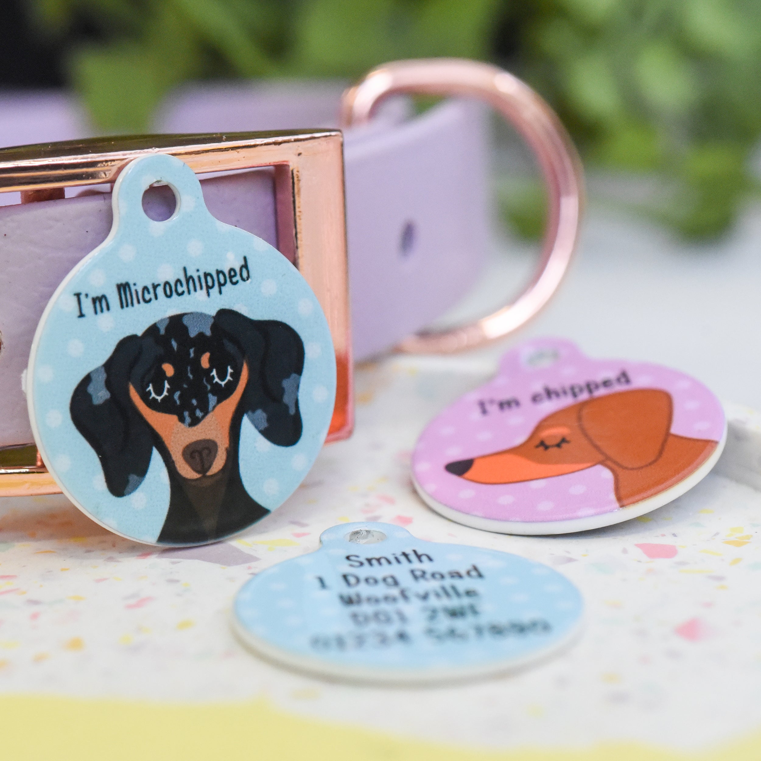 Dachshund Personalised Pet ID Tag by Hoobynoo –