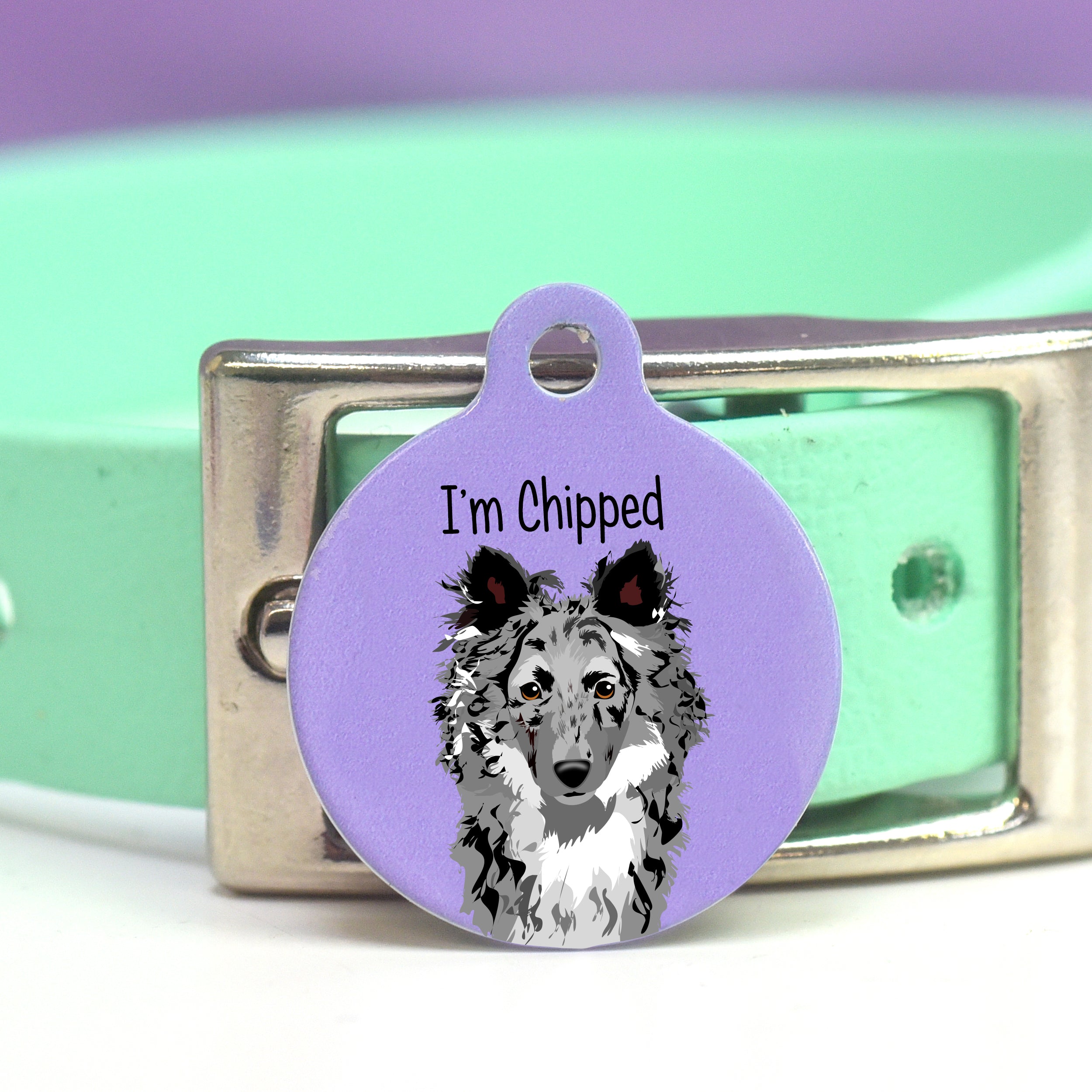 Colourful Customisable Dog Tags Designed For Your Mudi – Hoobynoo