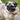 Buy Dog Personalised ID Name Tags Autumn Design From £10.95