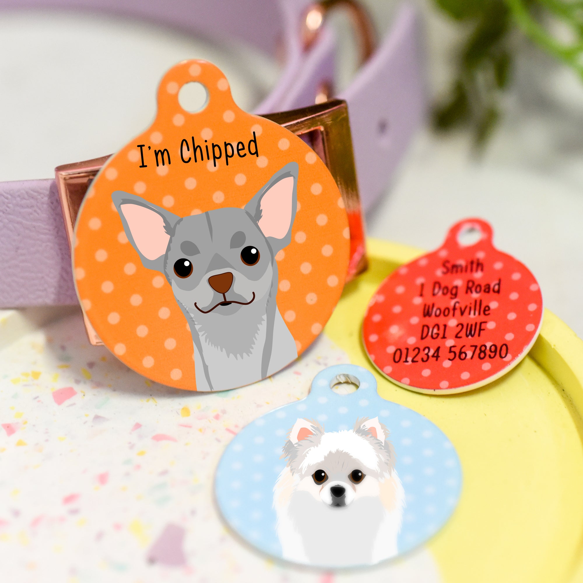 Chihuahua Realistic Dog Tag Personalised
