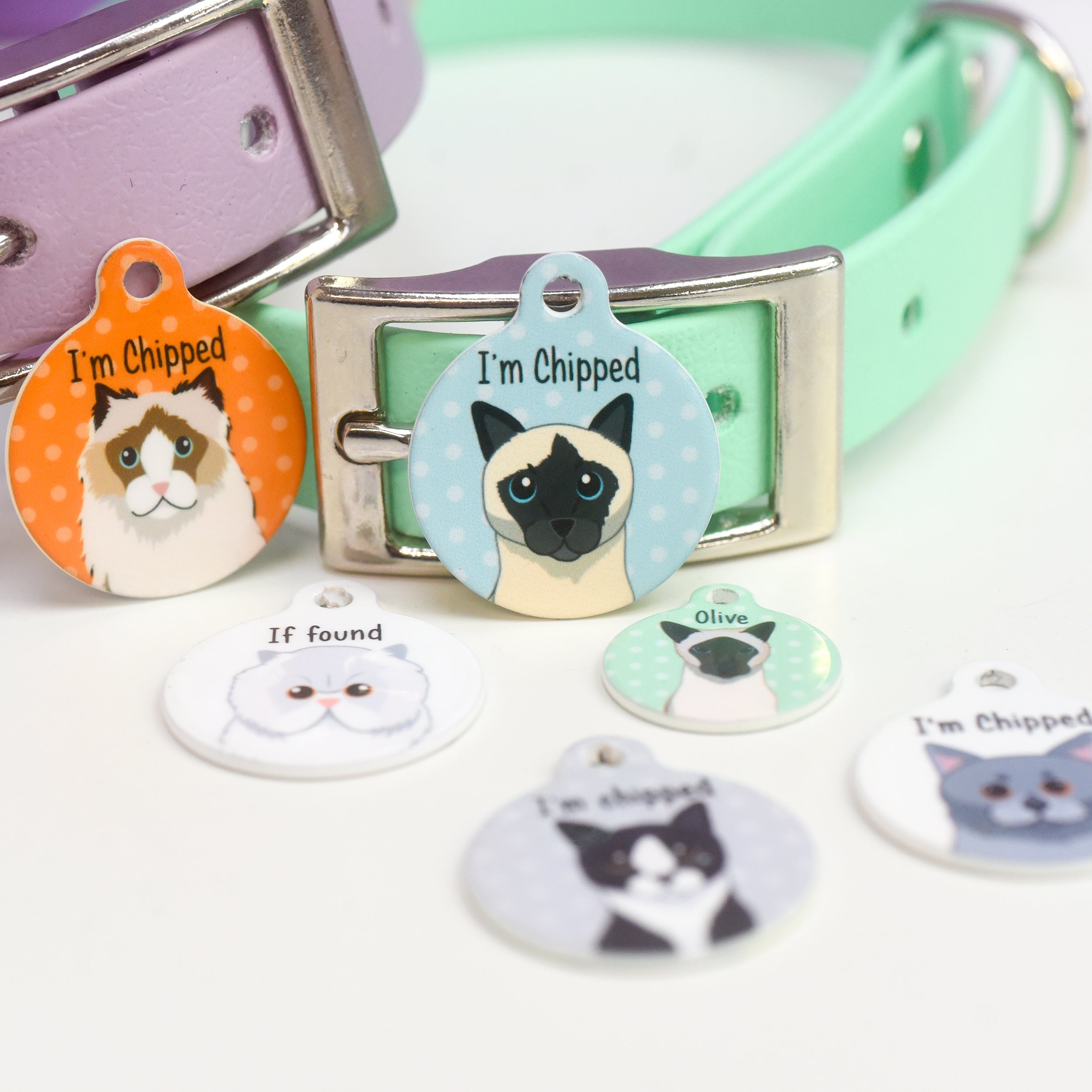 Cat Tag for Cat's Collar Personalised with your contact details