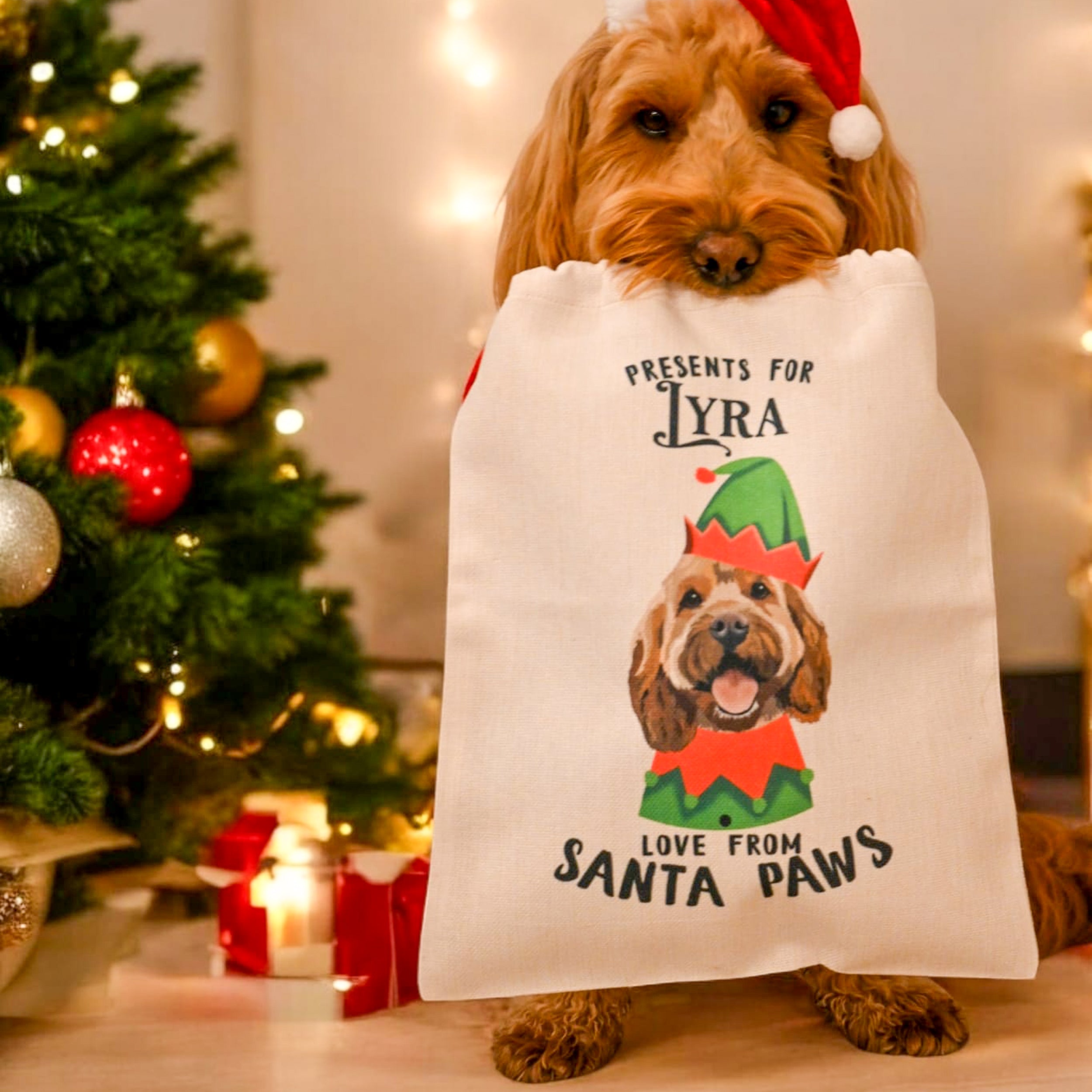 Christmas Tree Dog Christmas Apparel Christmas Tree Christmas