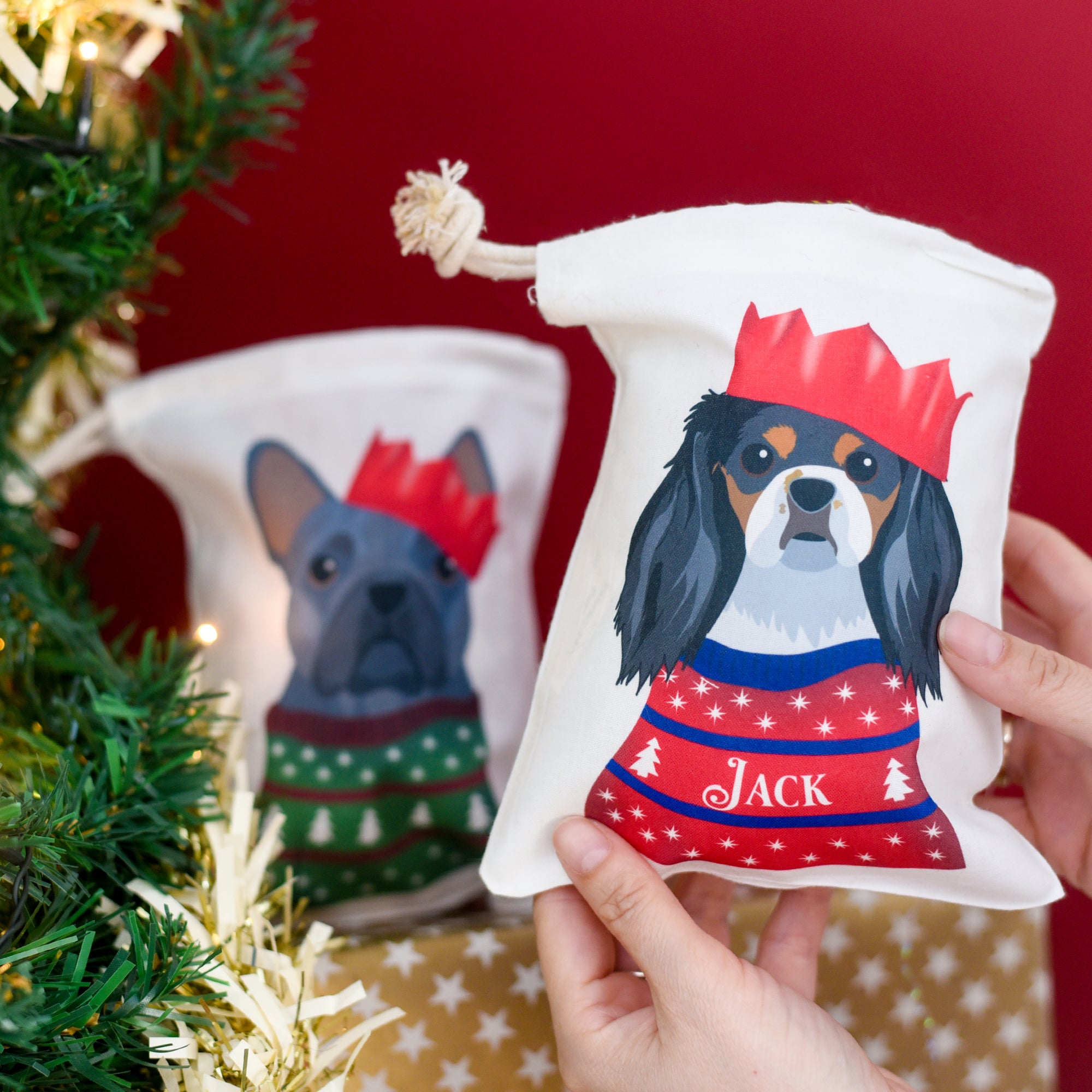 Party Dog Christmas Treat and Gift Bag