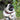Biothane Pet Collar | Dog Collar | Waterproof