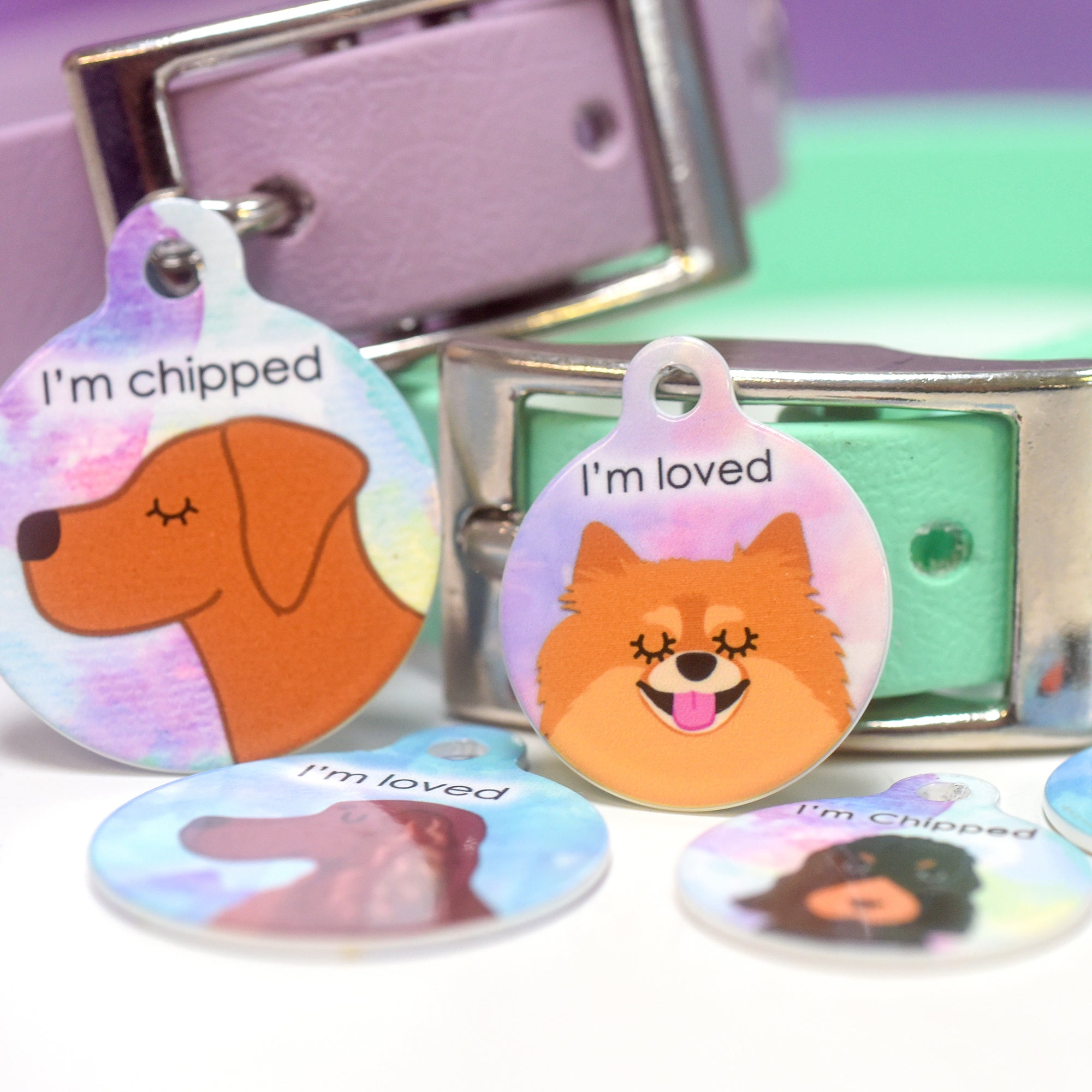 Watercolour Personalised Dog Tag